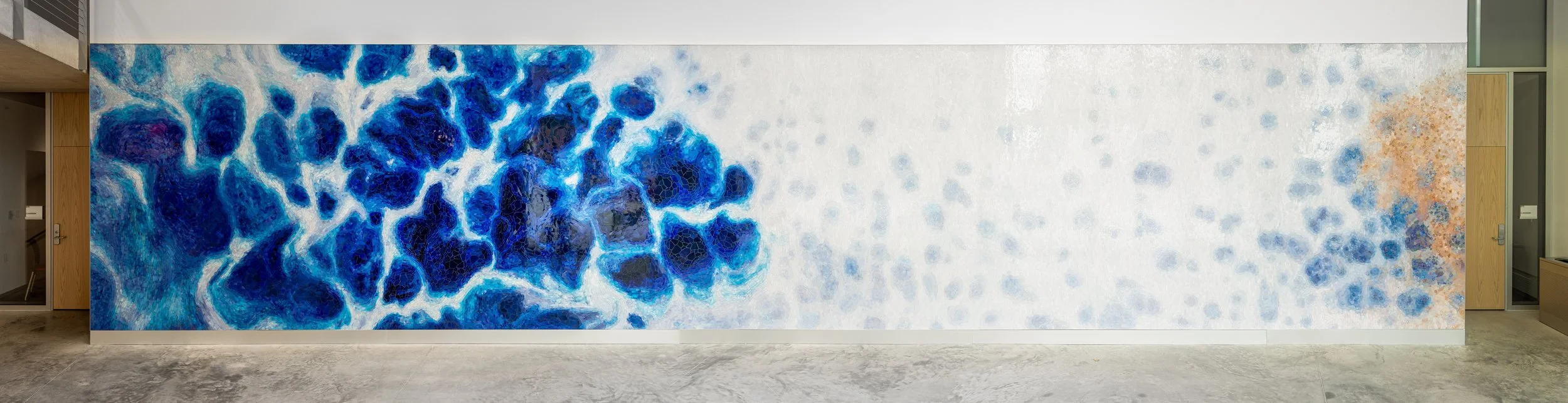 Brain Sciences Mosaic-1.jpg