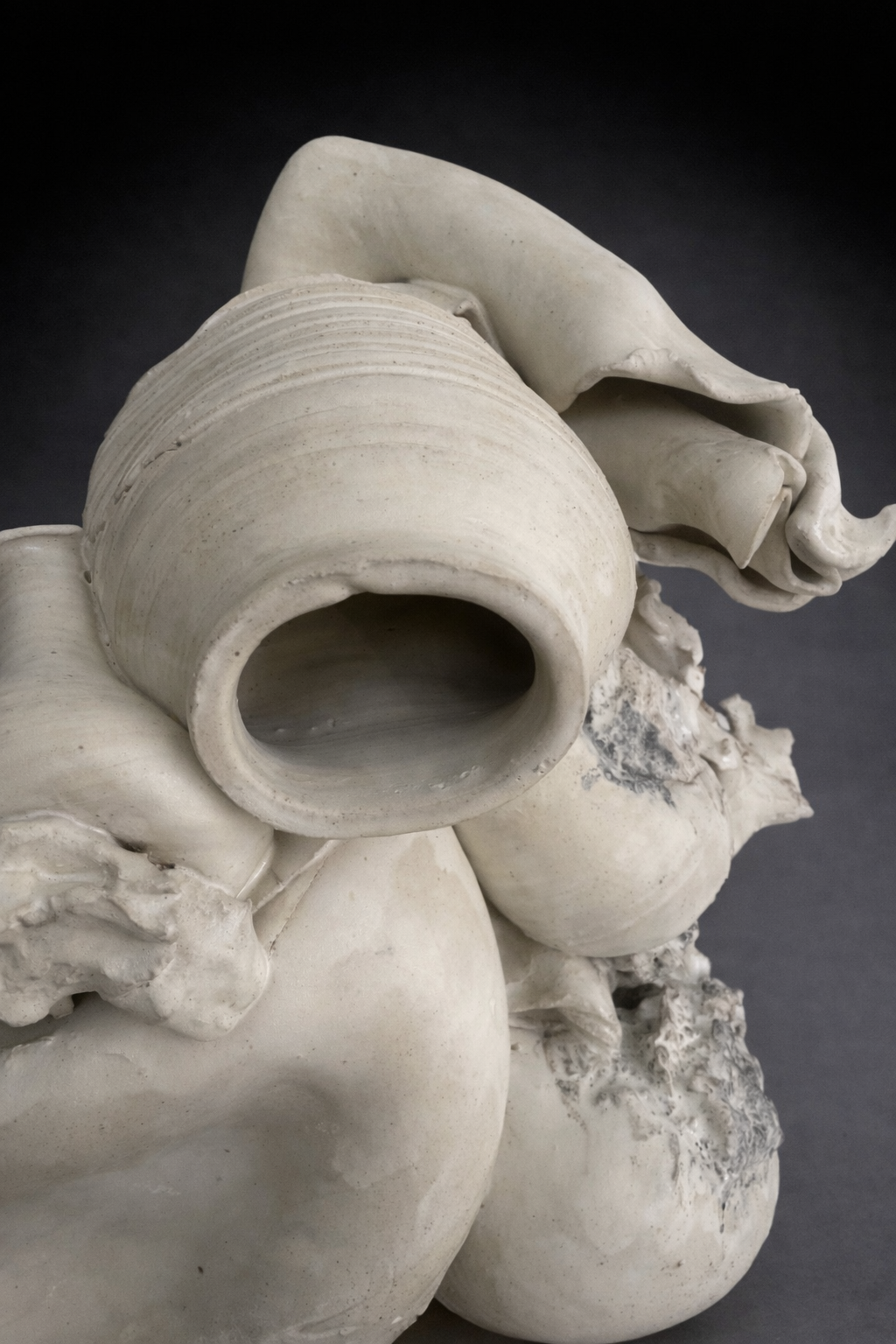 Lynn Basa_Remains #20-11(grayscale).jpg