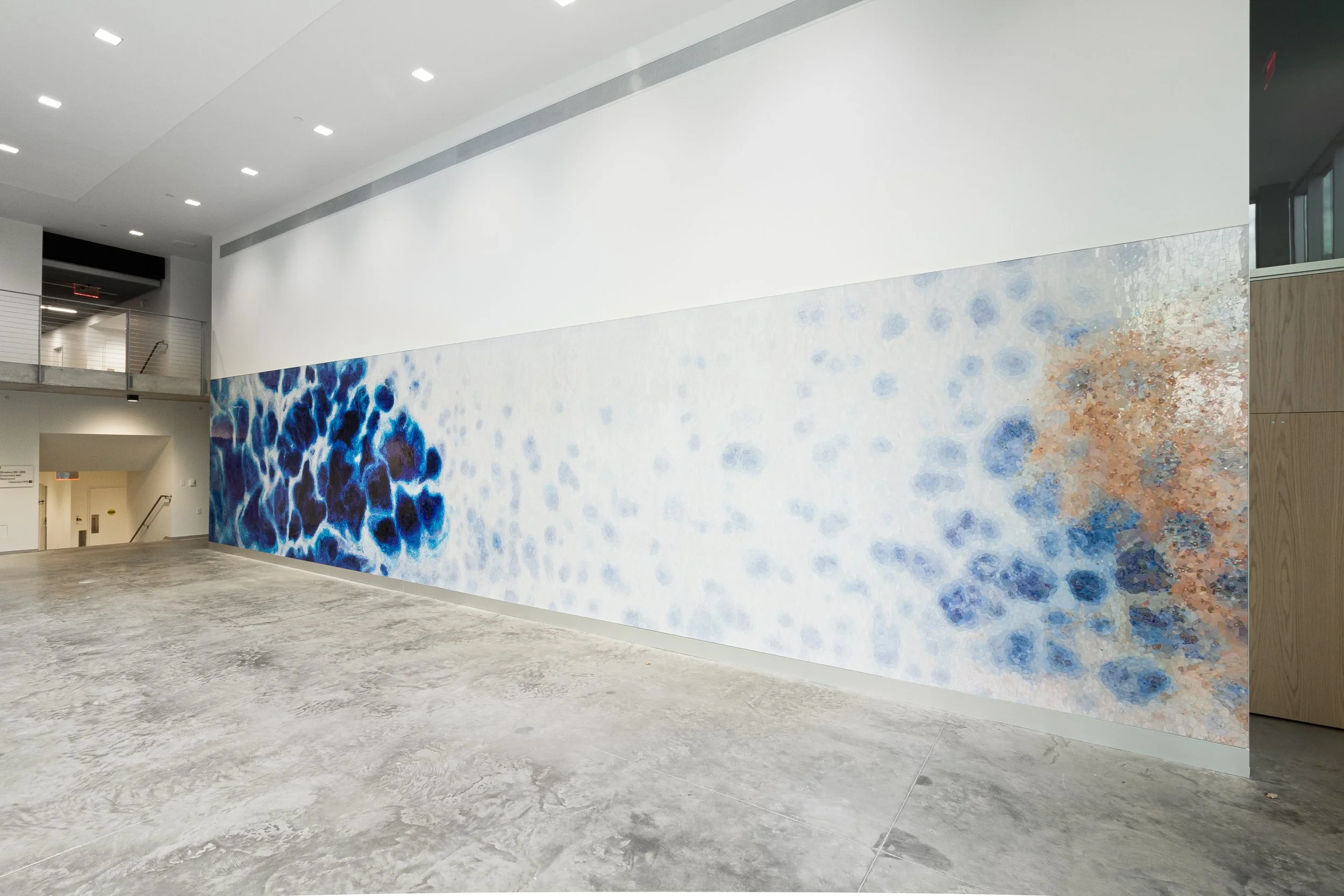 Brain Sciences Mosaic-2.jpg