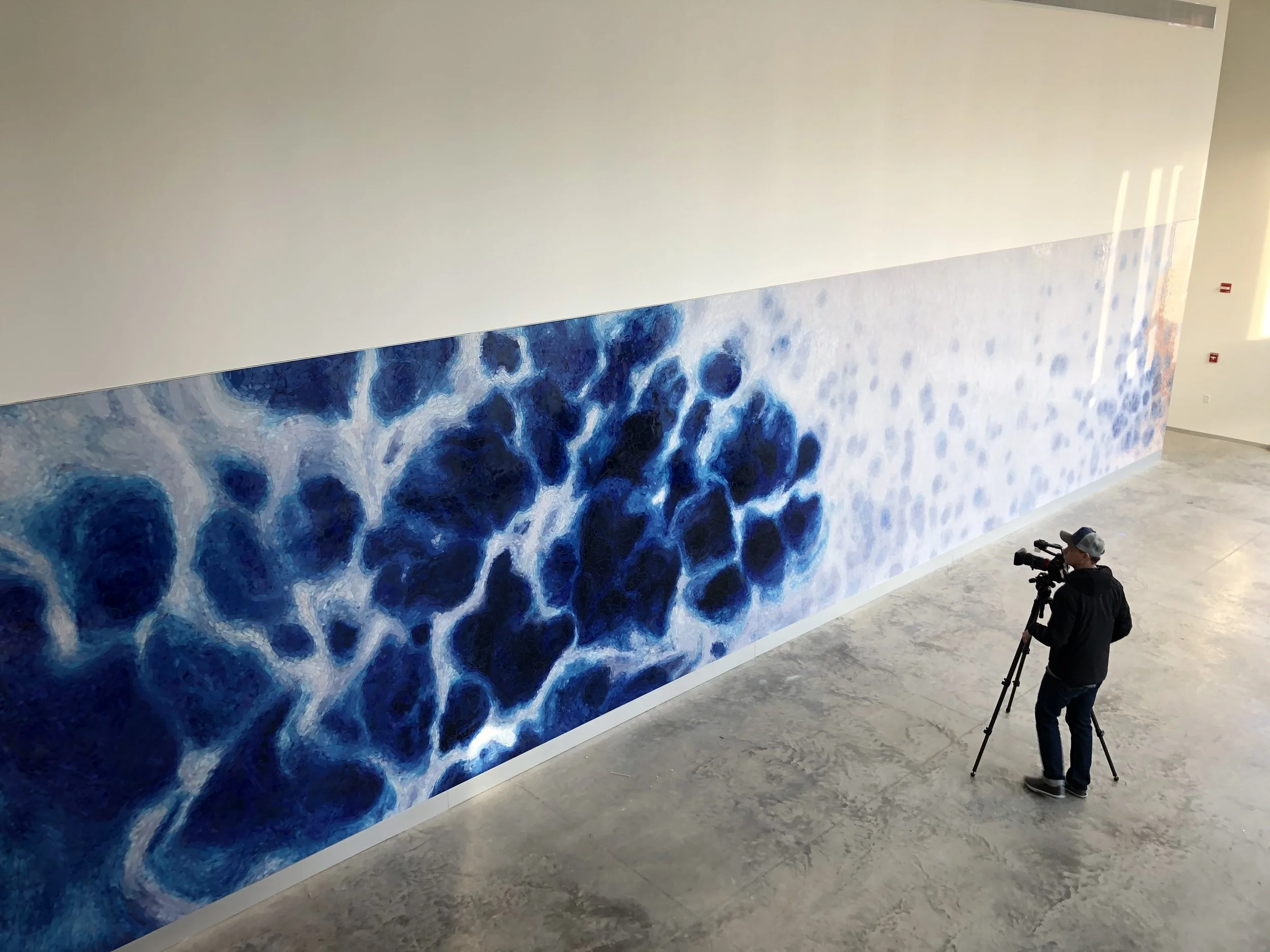 Basa, Lynn - Brain Sciences - installation 122719 - 2.jpg