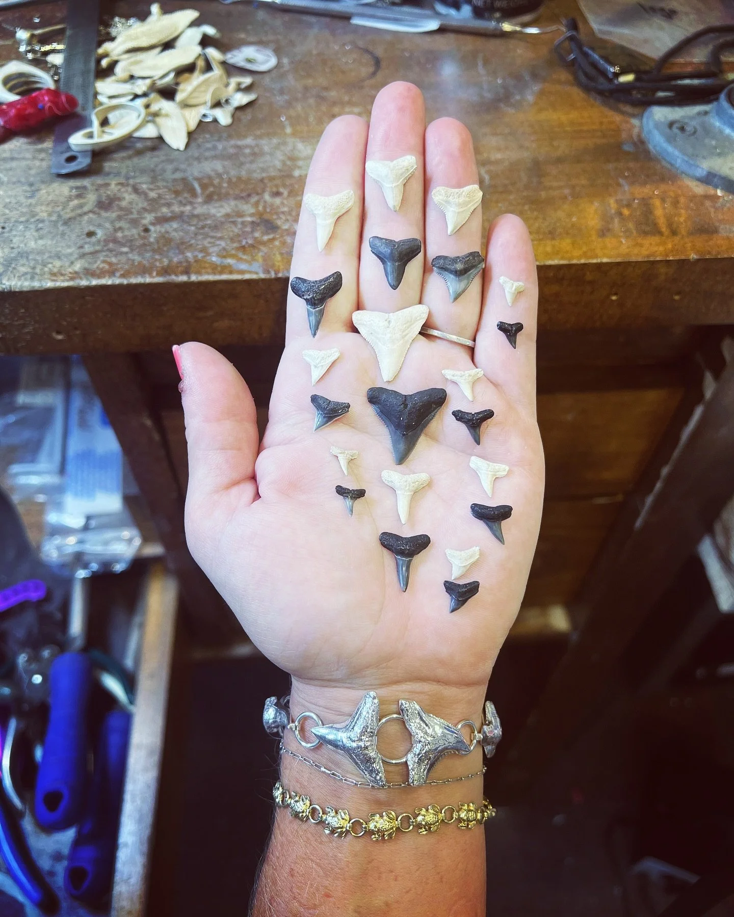Coastal Georgia has a special place in my heart. This collection of teeth were molded, cast, and made into solid sterling silver. The Tybee collection is available exclusively at @rachelvogeldesigns gift shop. Bring a piece of Tybee home with you ❤️