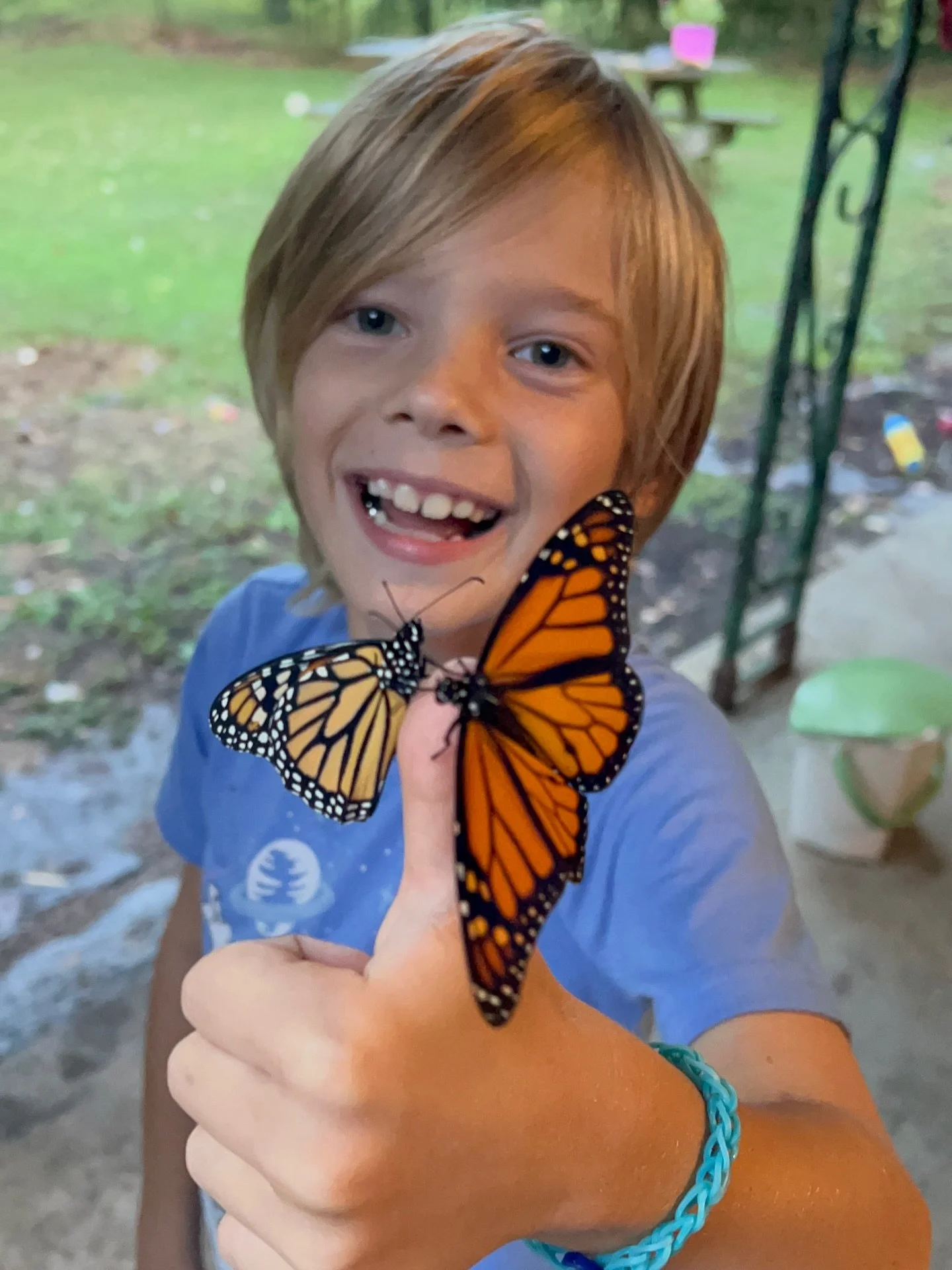 If you build it, they will come. 
I mean, if you plant it. 
And they might come&hellip;
But not if you spray pesticides. 
And maybe not if your neighbor does either&hellip;
Milkweed for the monarchs is a summer and fall highlight at my house. I still