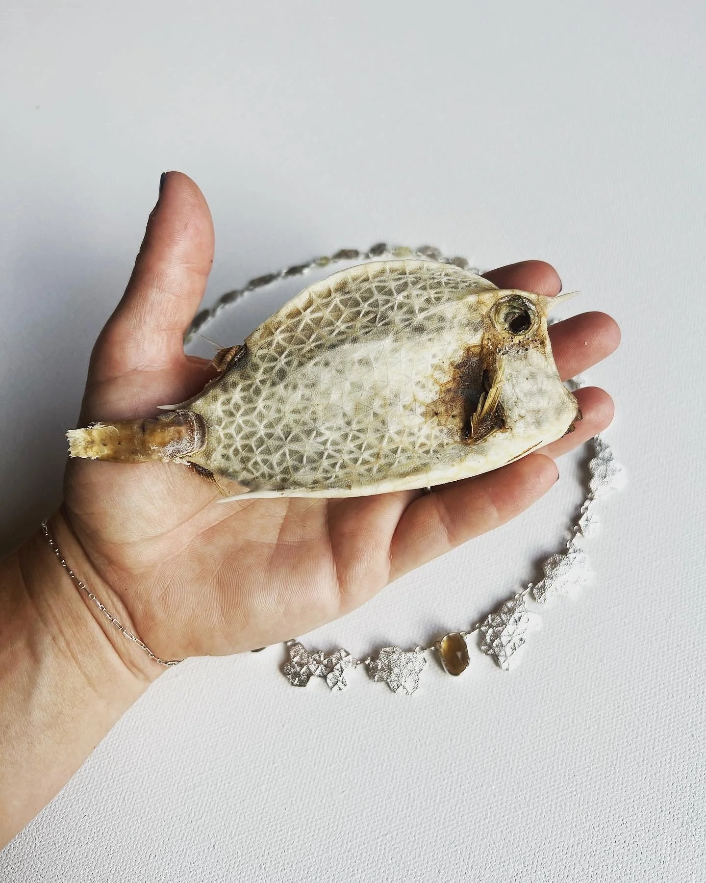 Boxfish, sterling, citrine