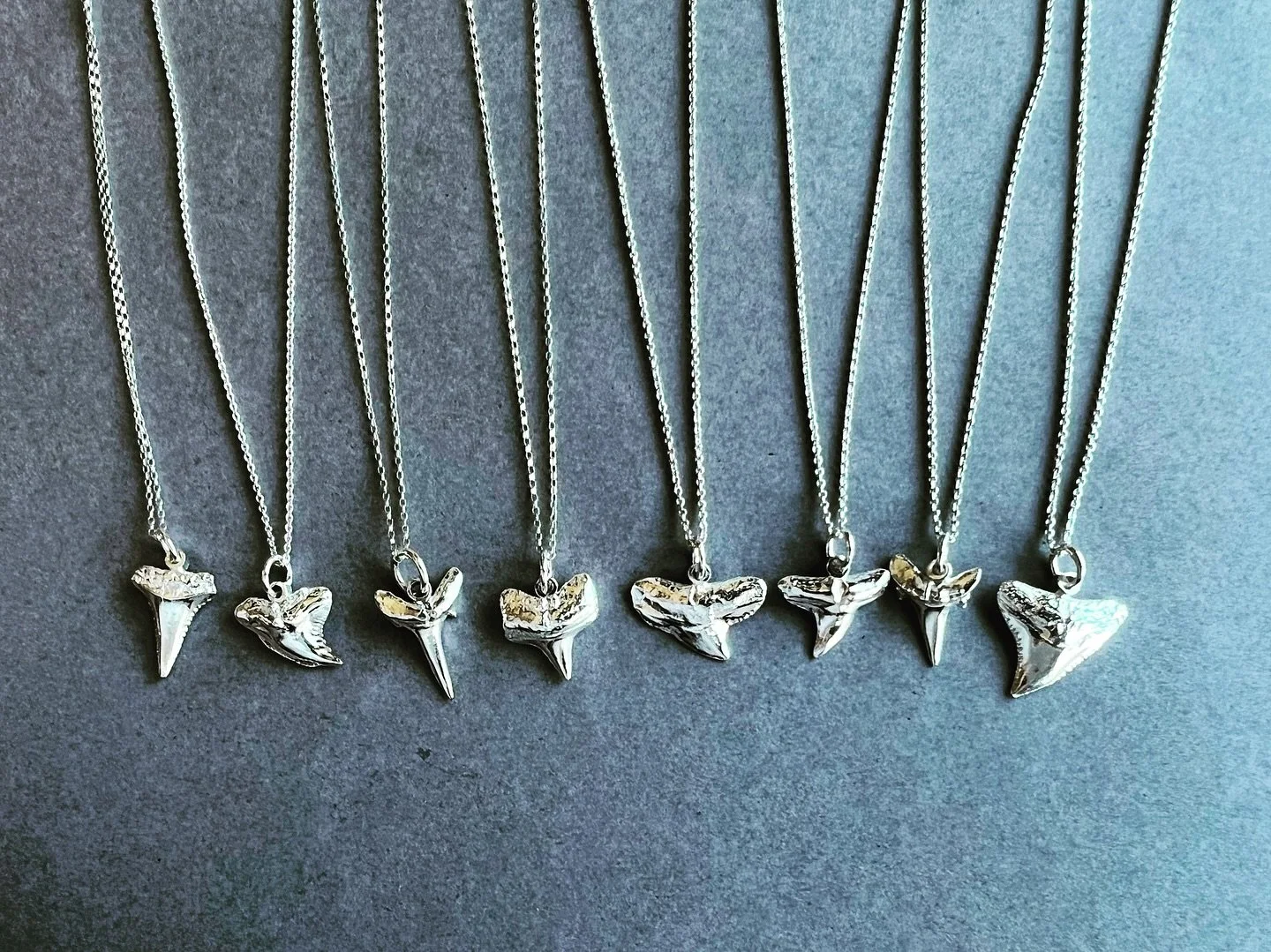 You can find these cuties and much more at theresaapplegate.com and meggoddessdesigns.com!
🦈