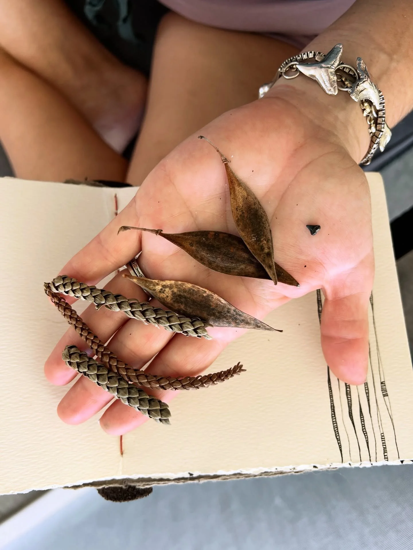 Florida treasures and sketching 🔆

I&rsquo;m ready to generate some new designs and relax and dive and relax some more.