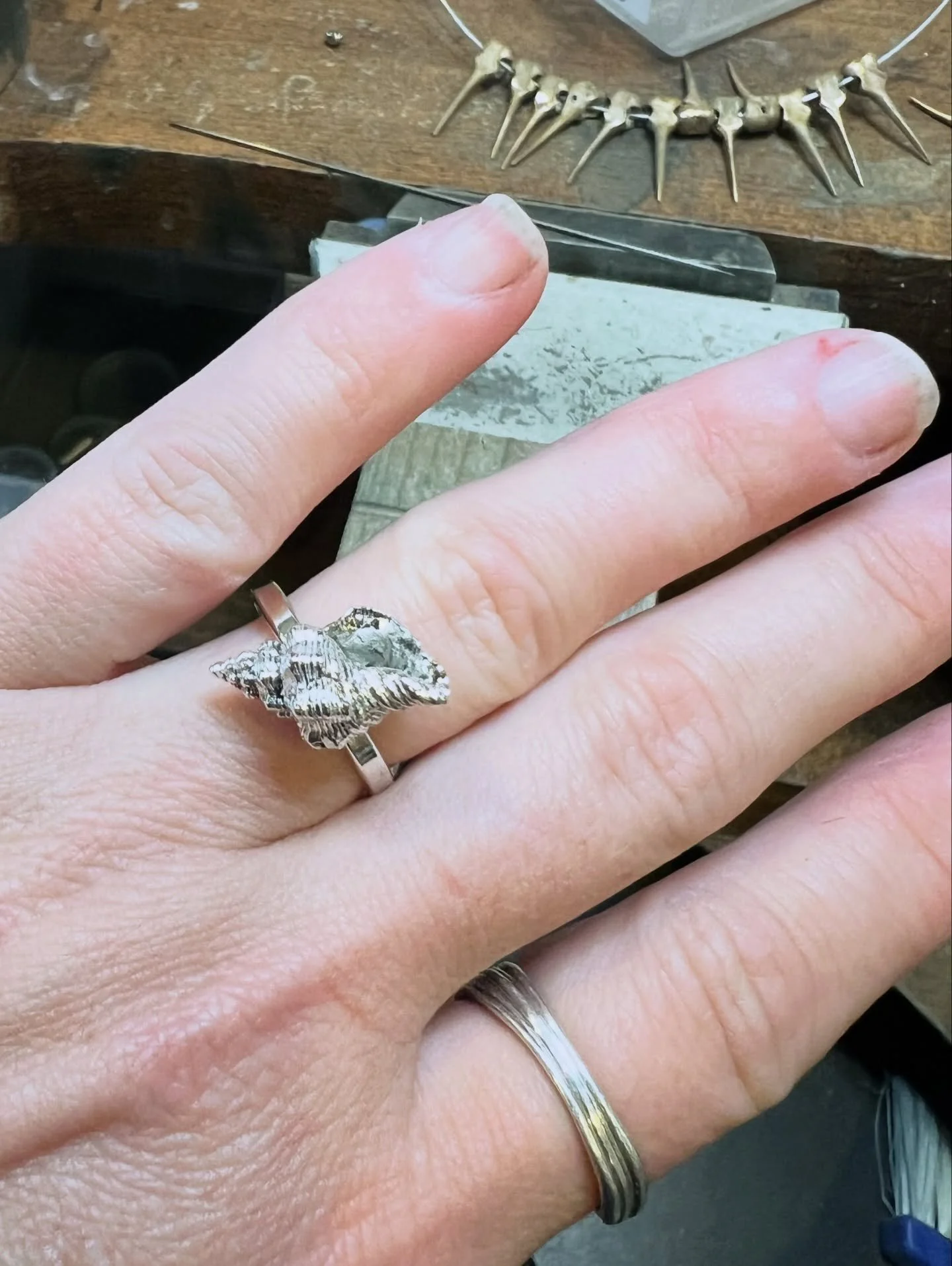 Winter storms have me dreaming of beach days 🌊☀️👙🏖️
Looook at this cute little shell 😍