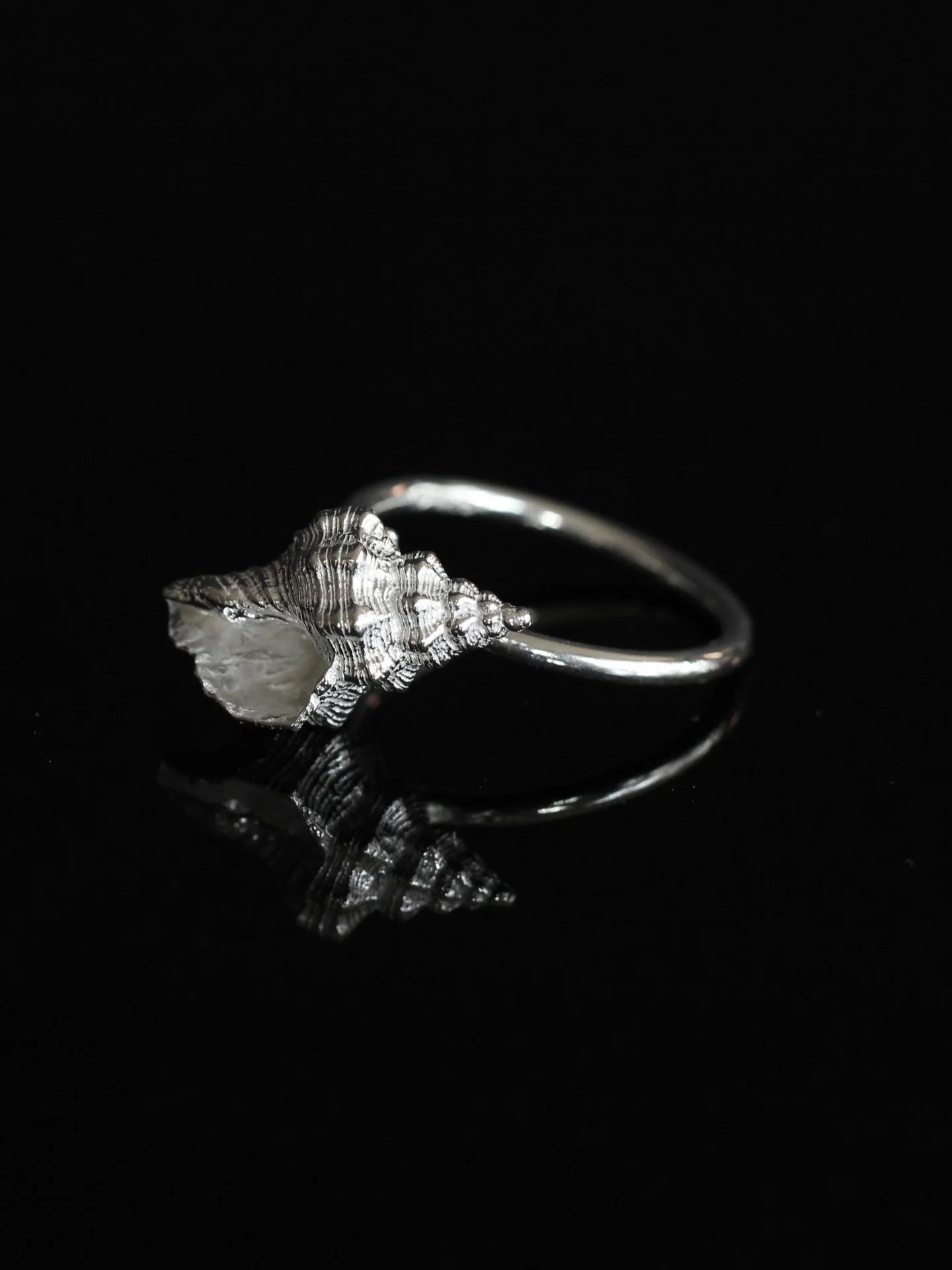 Seashells on your finger 🐚

Rings for mermaids 🧜🏼&zwj;♀️