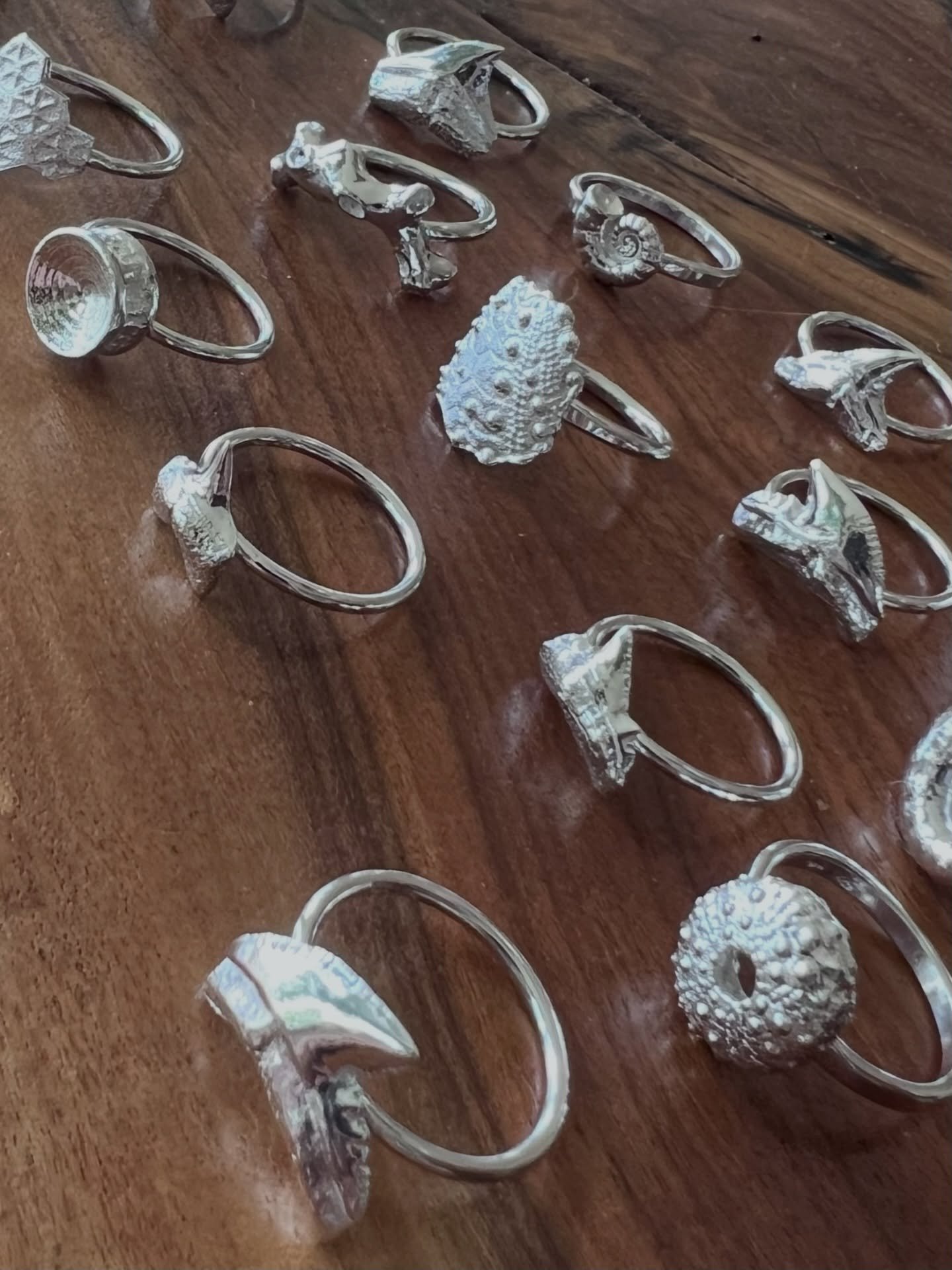 Ocean vibes 🌊 
Come see me at the Venice Sharks Tooth Festival 
Saturday and Sunday 
Centennial Park
Venice, FL