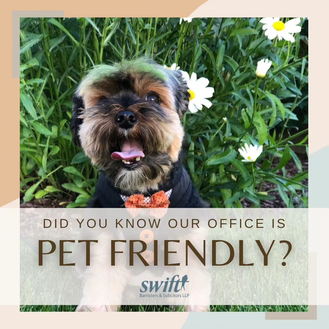 ✨️ Fun fact ✨️ 

No one likes their fur babies being all alone! Our clients are welcome to bring their pets along to their appointment (and say hi to our the pets that are visiting us that day). Just let us know they will be accompanying you so we ca