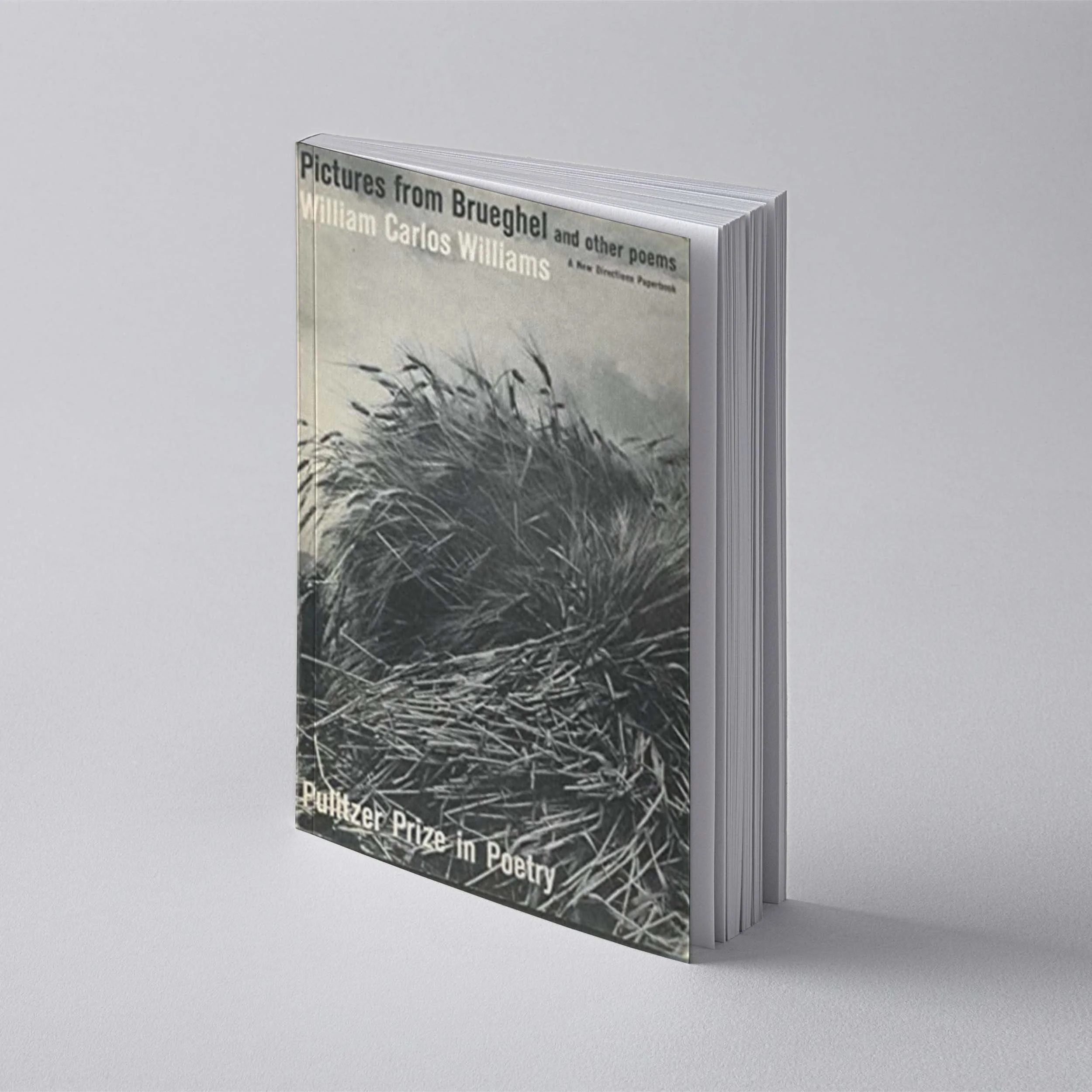 List 90+ Pictures pictures from brueghel and other poems Full HD, 2k, 4k