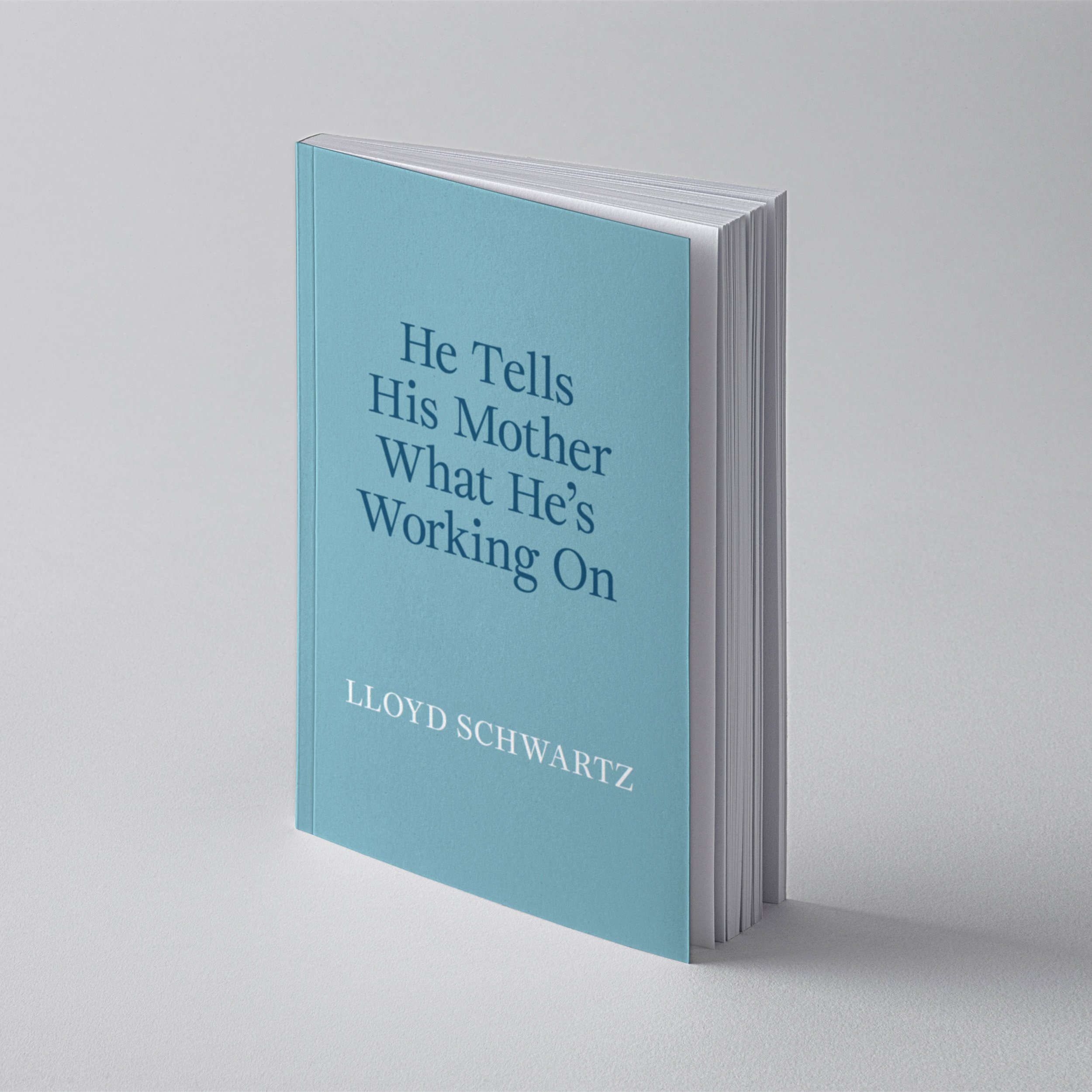 He Tells His Mother What He's Working On by Lloyd Schwartz