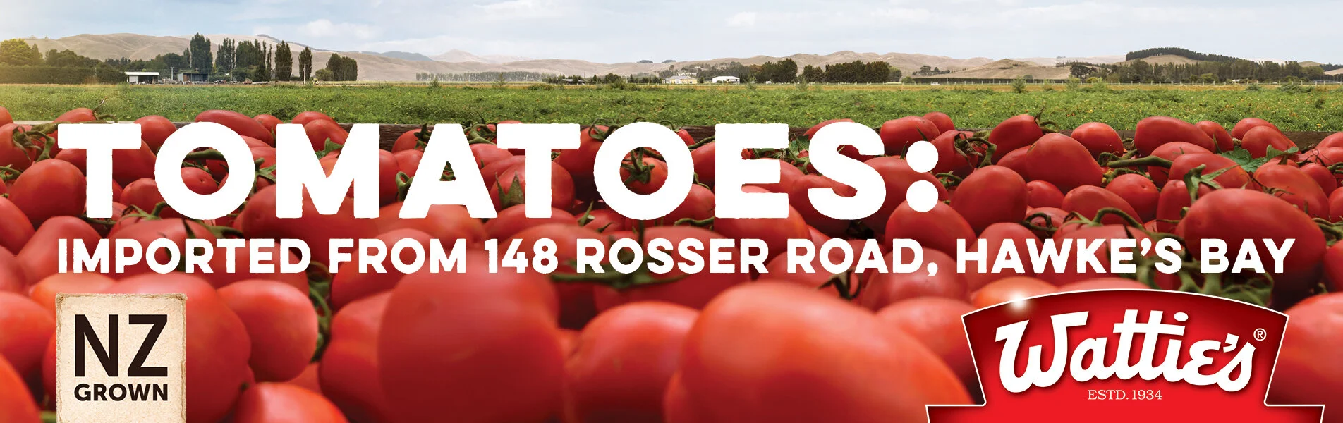 J001929_Watties_Lumo_ColomboSt_May_914 288px_Tomatoes.jpg