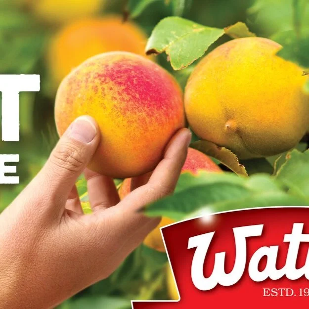 Wattie’s Provenance