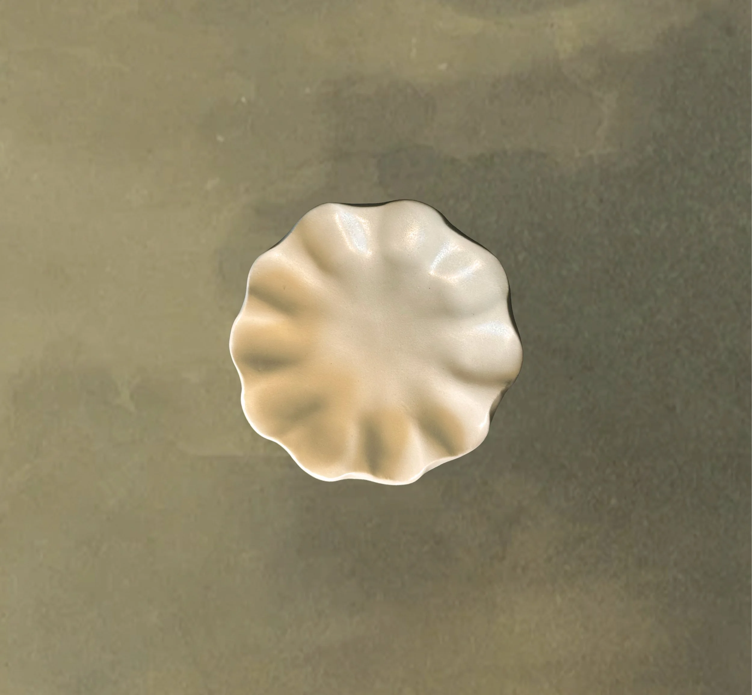 petal mini dish clear sola.jpg