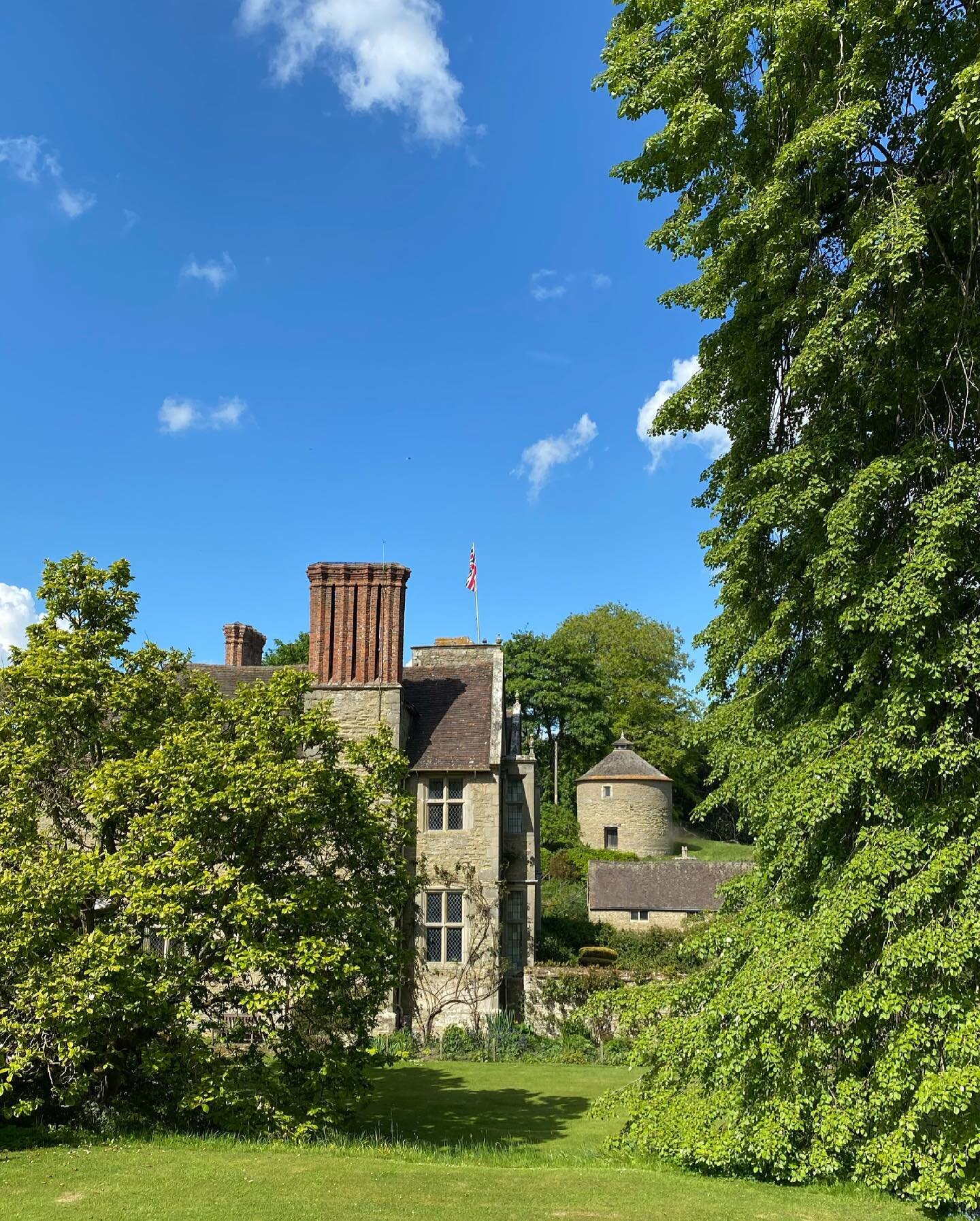 A celebration of this breathtaking weeping lime. This is my favourite tree at Shipton. 👉🏼➡️ for a celebration of it through the seasons, there is a wonderful staircase through the middle of it . Last photo taken this morning whilst sheltering from 