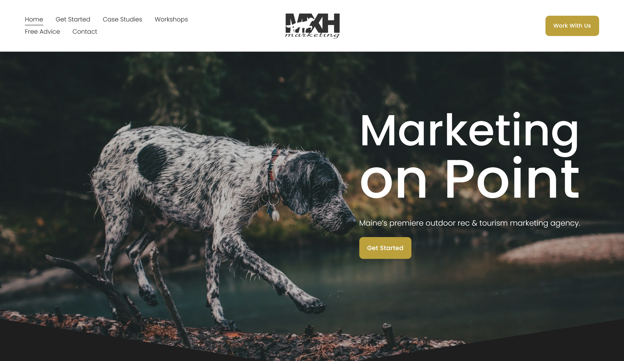 Dog walking on a log near a body of water with a forest background, on a website homepage for marketing services.