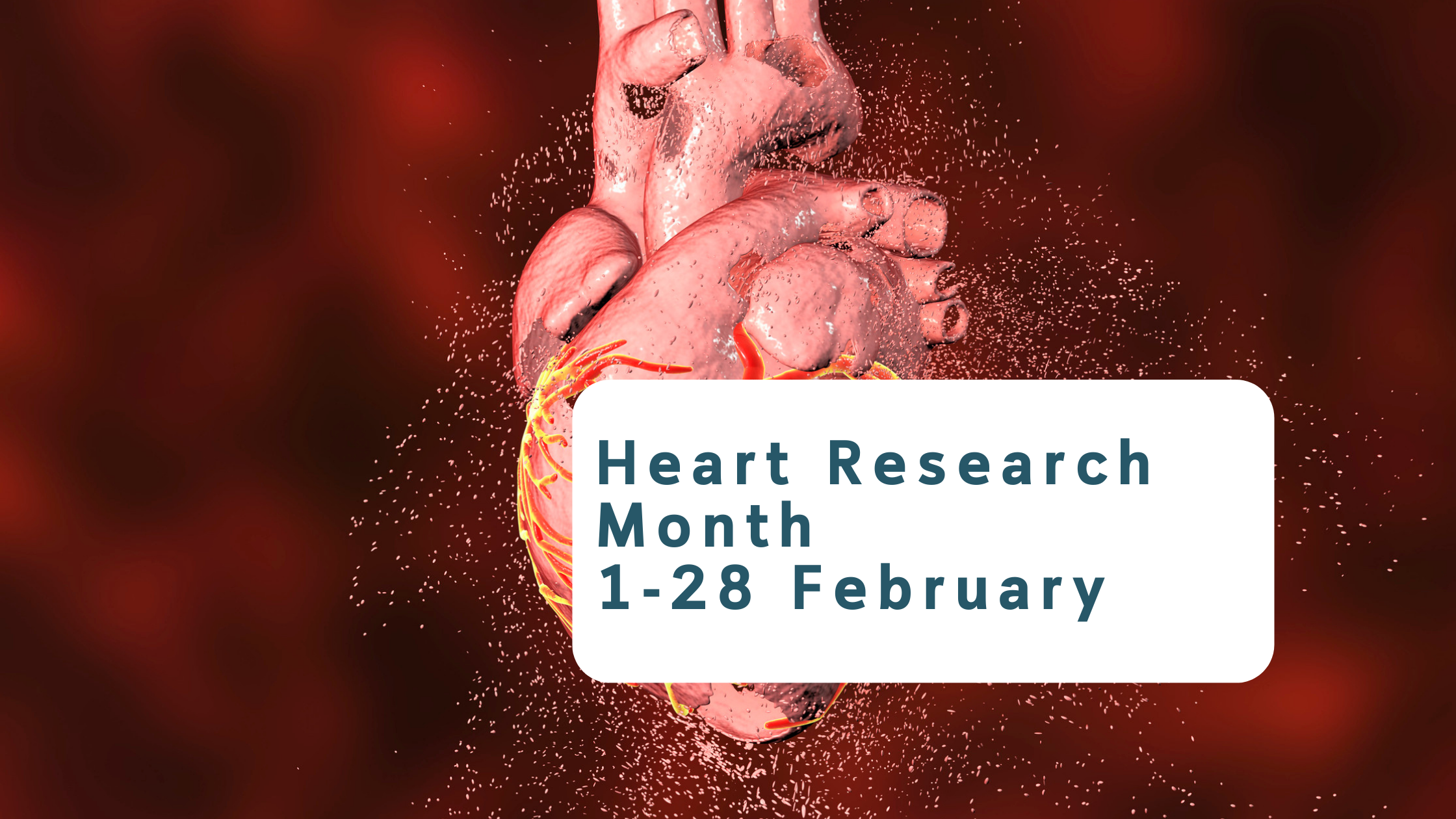 Blog banner Heart Research Month 1-28 February graphic image of a heart.