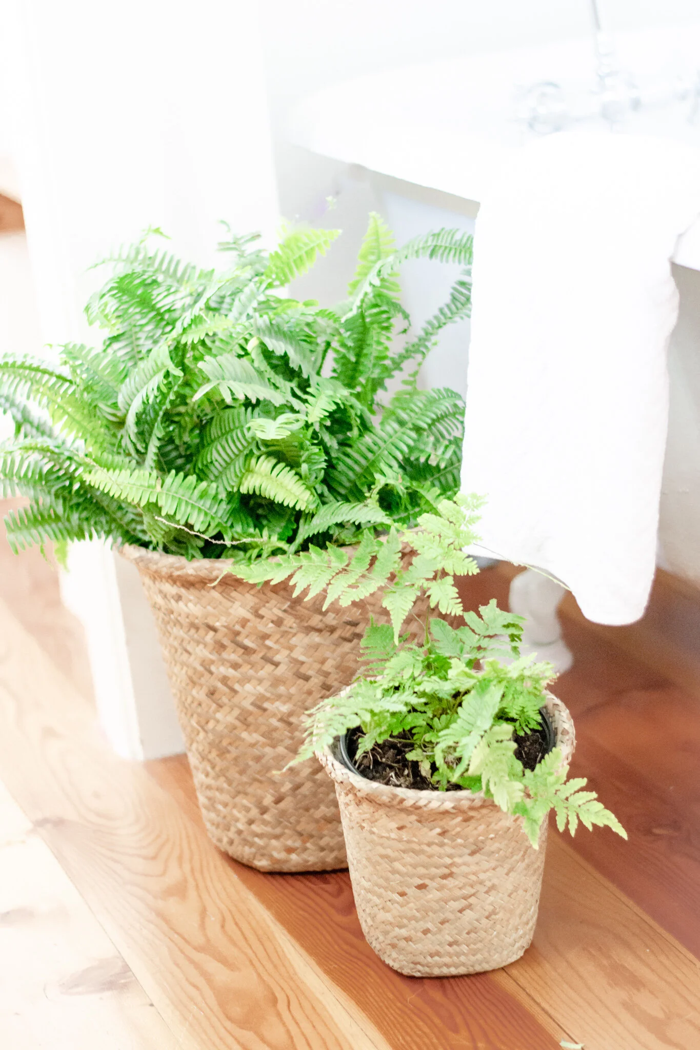 Bamboo Baskets