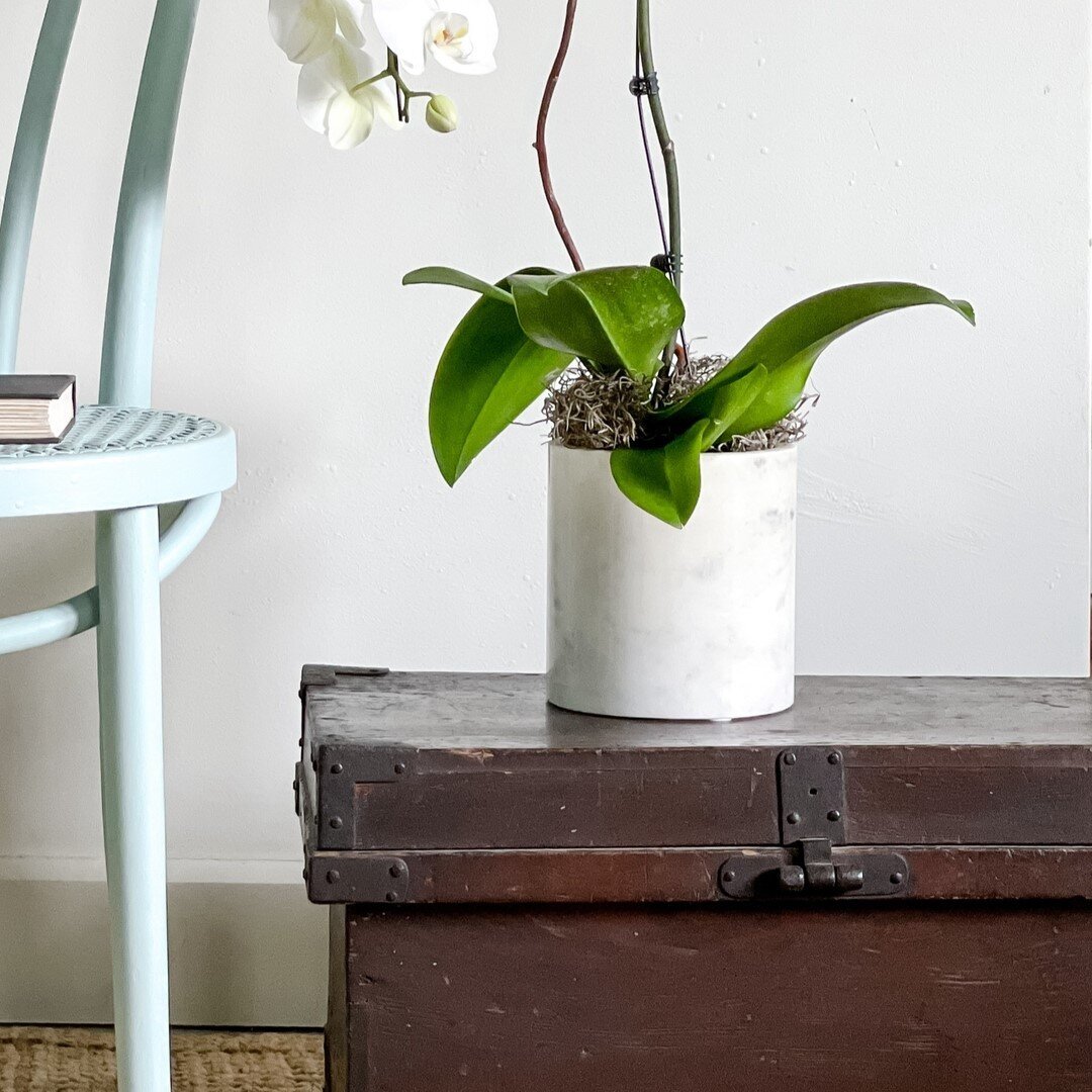 Create visual interest in your entry, powder room, or hallway, or nook with a vignette of your favorite pieces. Items like chairs, trunks, and baskets act as functional surfaces with unique character. Complete with an organic element like an orchid o