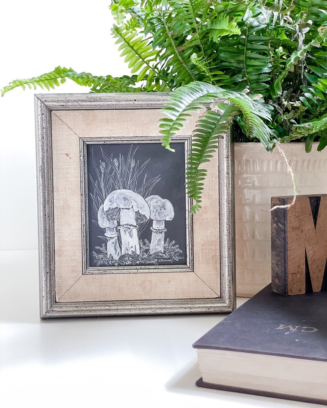 Funghi is having a moment! Here is a sweet little framed piece that could be put together with other black and white photos and drawings. 🖤🍄🖤🍄⠀⠀⠀⠀⠀⠀⠀⠀⠀
⠀⠀⠀⠀⠀⠀⠀⠀⠀
⠀⠀⠀⠀⠀⠀⠀⠀⠀
⠀⠀⠀⠀⠀⠀⠀⠀⠀
⠀⠀⠀⠀⠀⠀⠀⠀⠀
Available on oxfordandsage.com⠀⠀⠀⠀⠀⠀⠀⠀⠀
⠀⠀⠀⠀⠀⠀⠀⠀⠀
⠀⠀⠀⠀