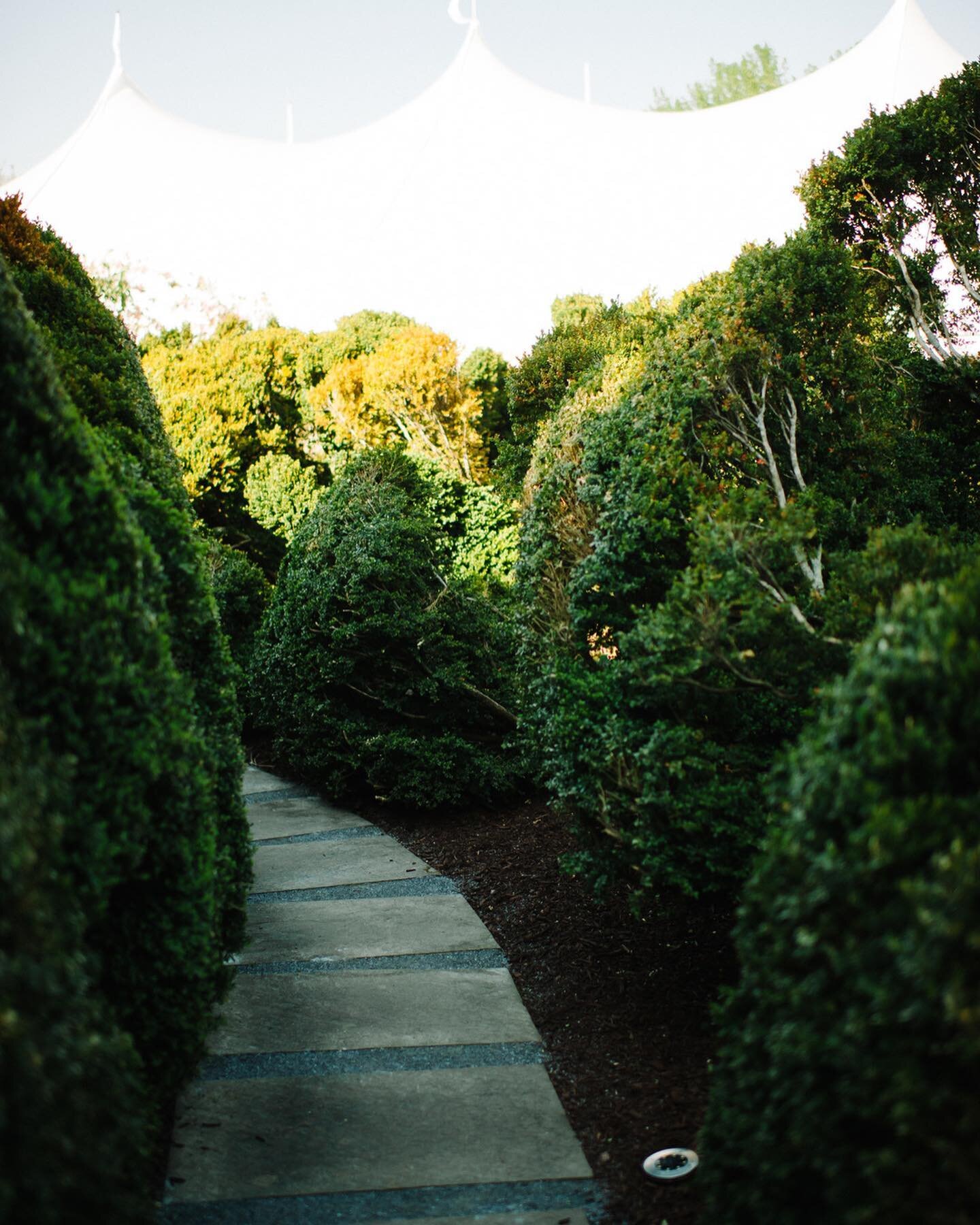Follow the boxwood maze to the sailcloth tent for the reception&hellip;the instructions our team gave guests as they entered Adrianna and Adam's tented, home wedding reception.  We kept it a surprise that as guests found the sailcloth tent, they woul