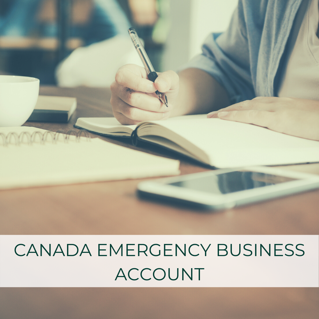 COVID19 — DIGITS Small Business Bookkeeping