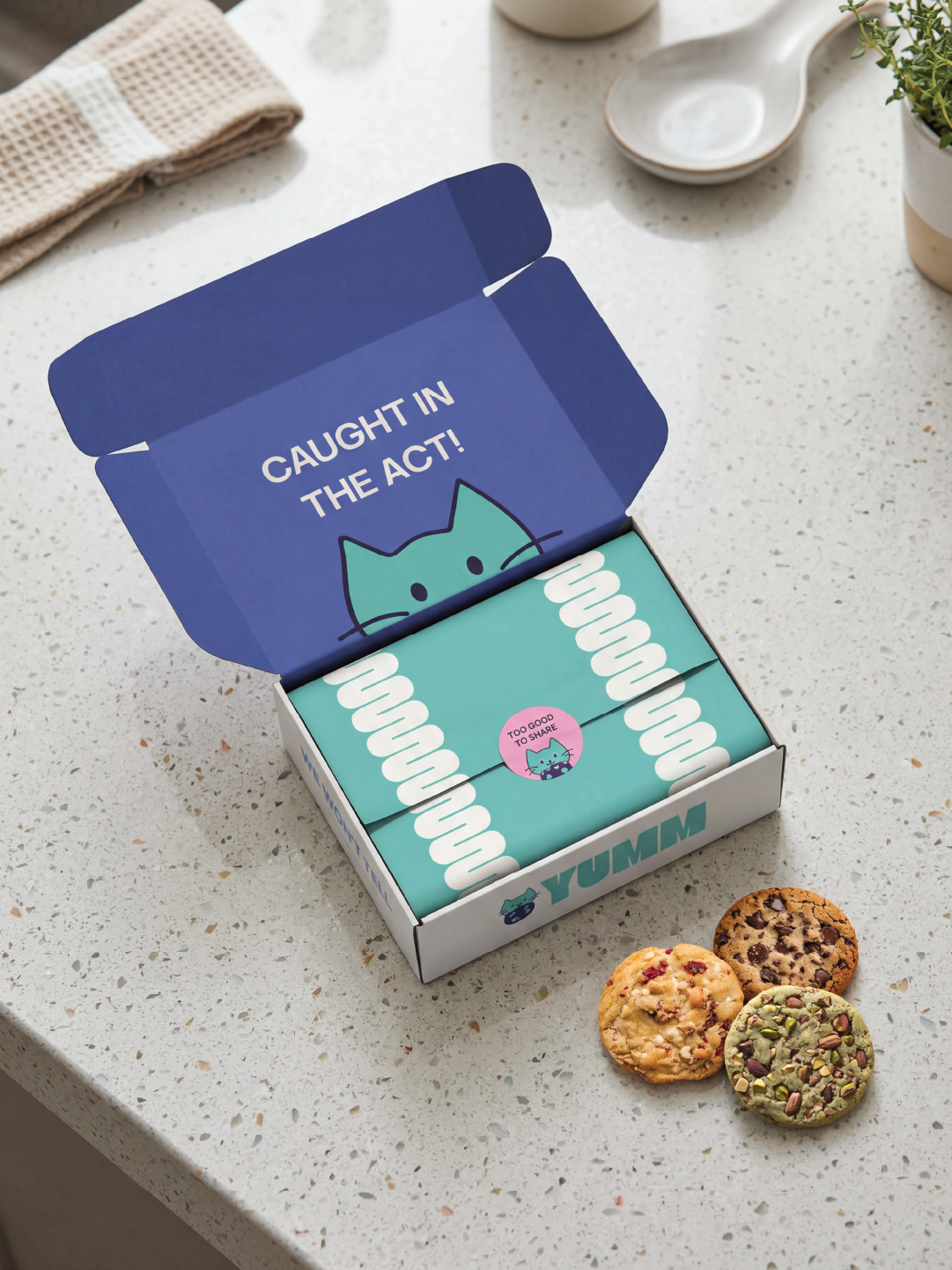 3 Submission 1 - Open Box 1.png