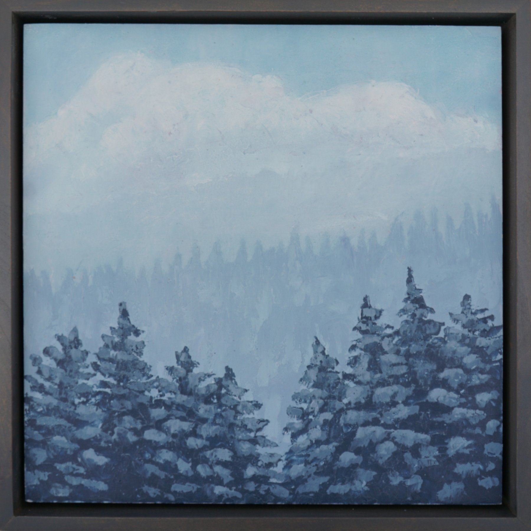 202601 pine meditation 2_12x12.JPG