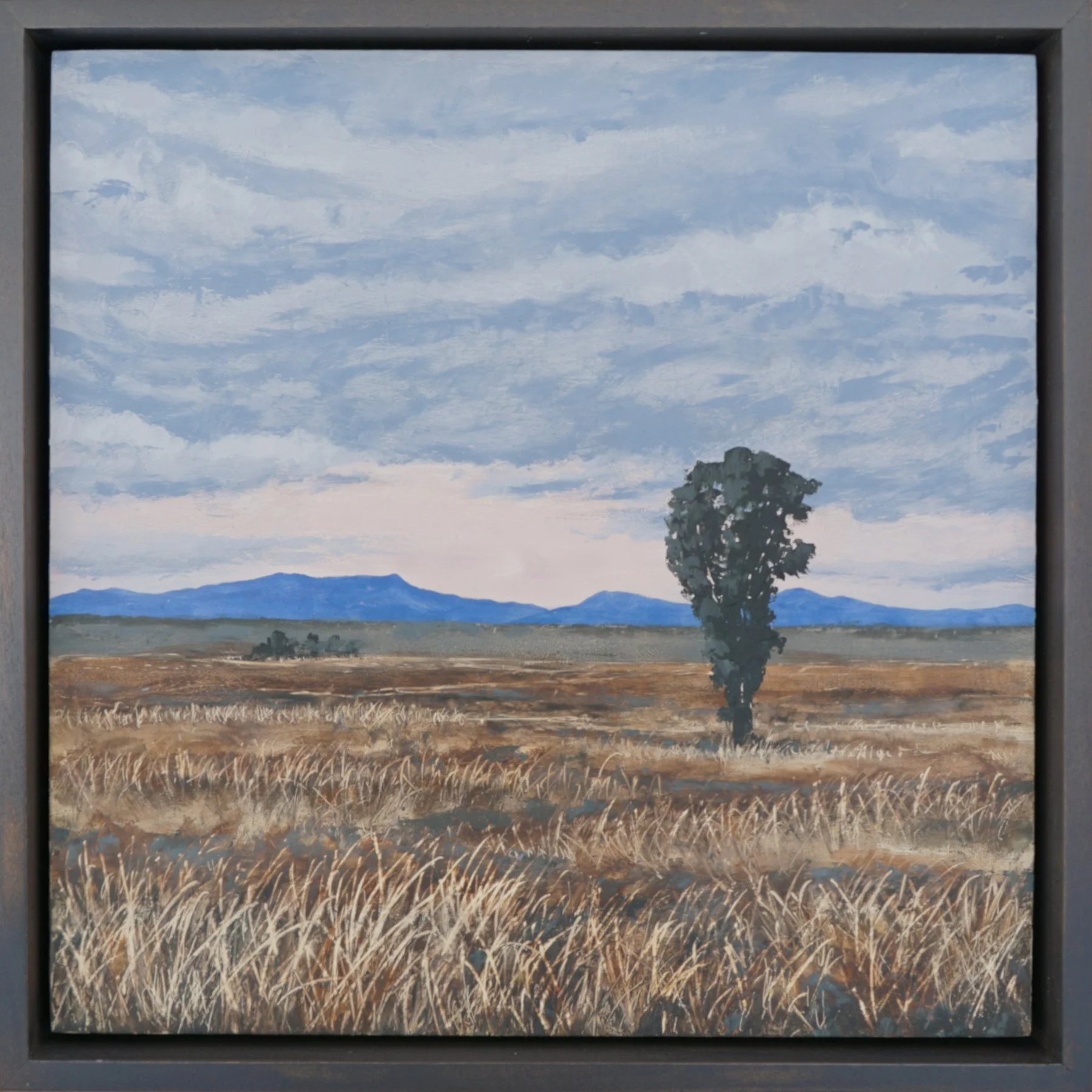 202512 pure attention study_12x12.JPG