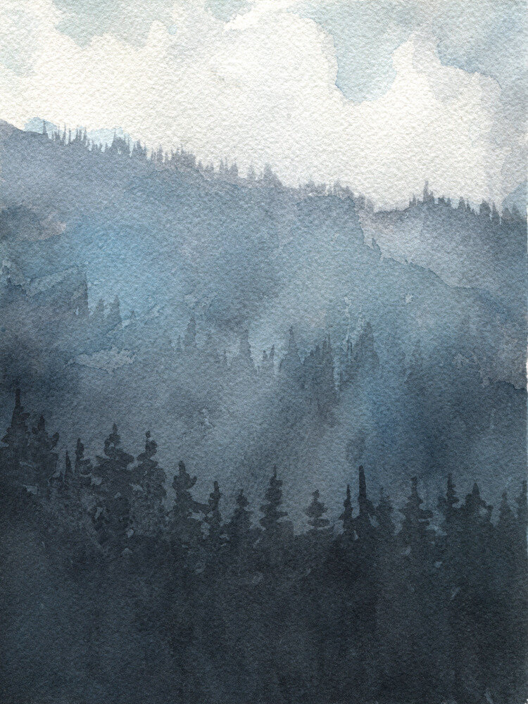 forest for the trees study_print_low res.jpeg