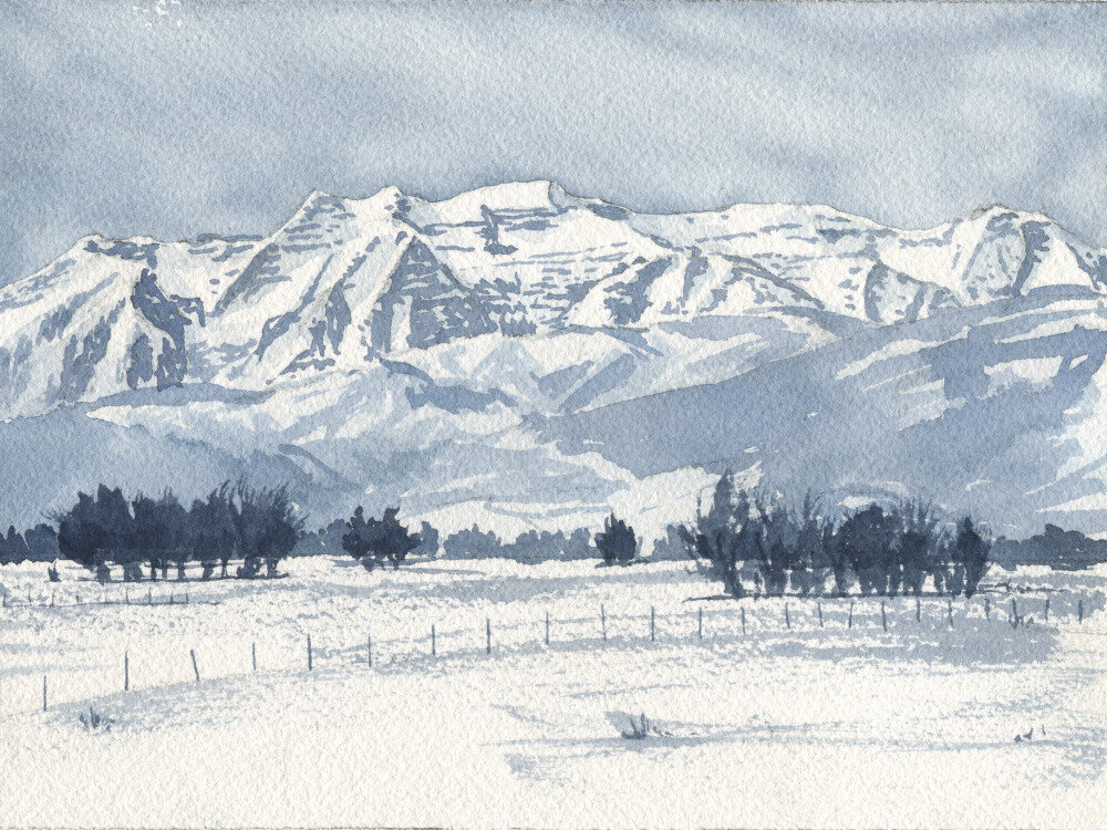 timp from heber study_print_low res.jpeg