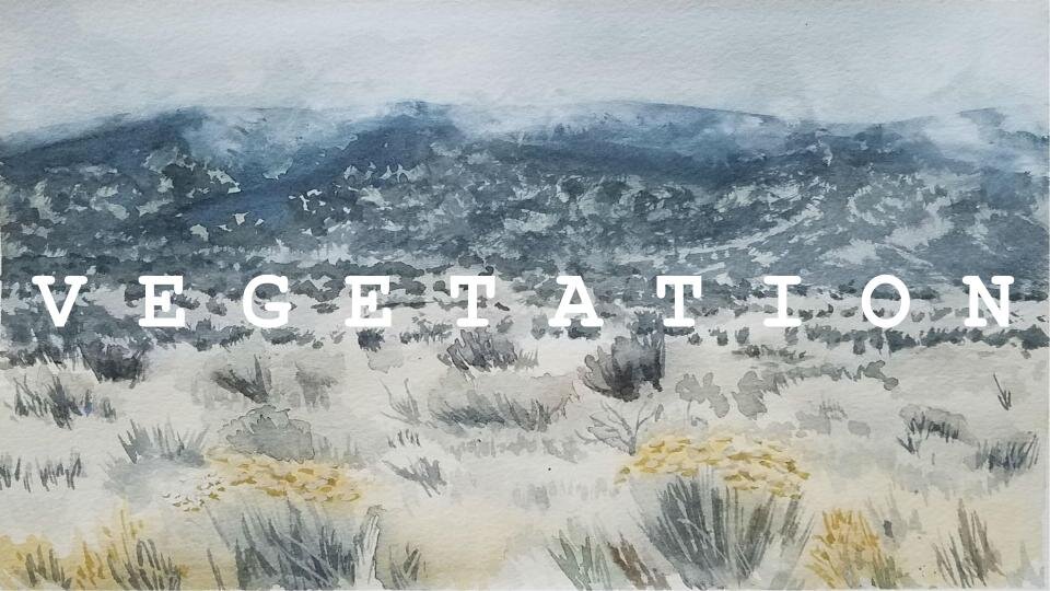 Art Practice - Vegetation.jpeg