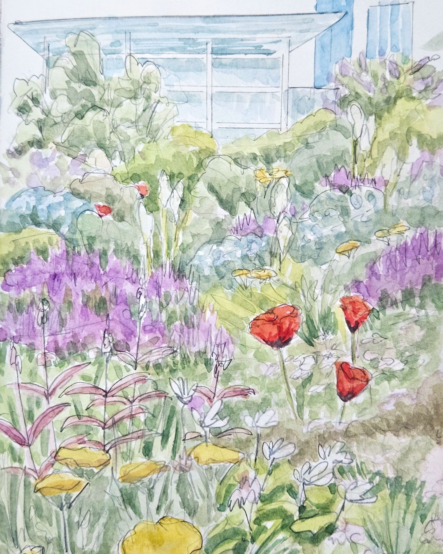 Shoutout to @luriegarden in Chicago! This place is GORGEOUS. It's a secret garden tucked away in the parks and is PACKED with all the plants and flowers. I've been diving deep into the new naturalism gardens and this place is a dream. If I had the ti