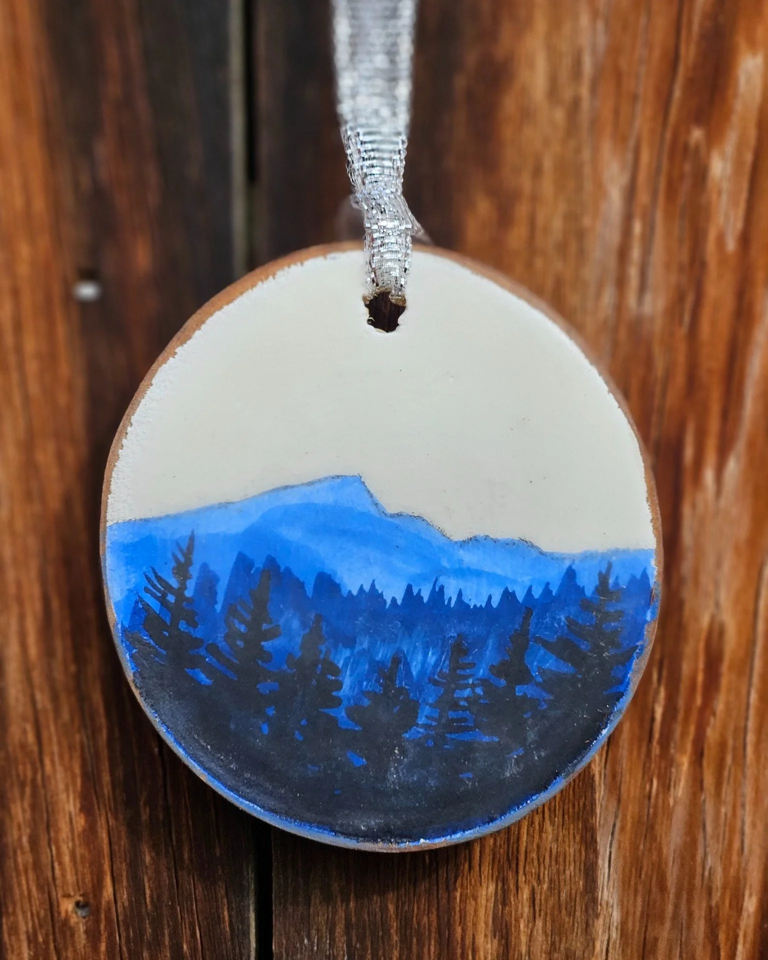 Ornament season is upon us. Monday morning is the day to get yours along with 2026 Calendars and a brand new greeting card pack. If you want to buy an ornament, you must sign up for my newsletter to get the link. They go on sale Monday, November 24th