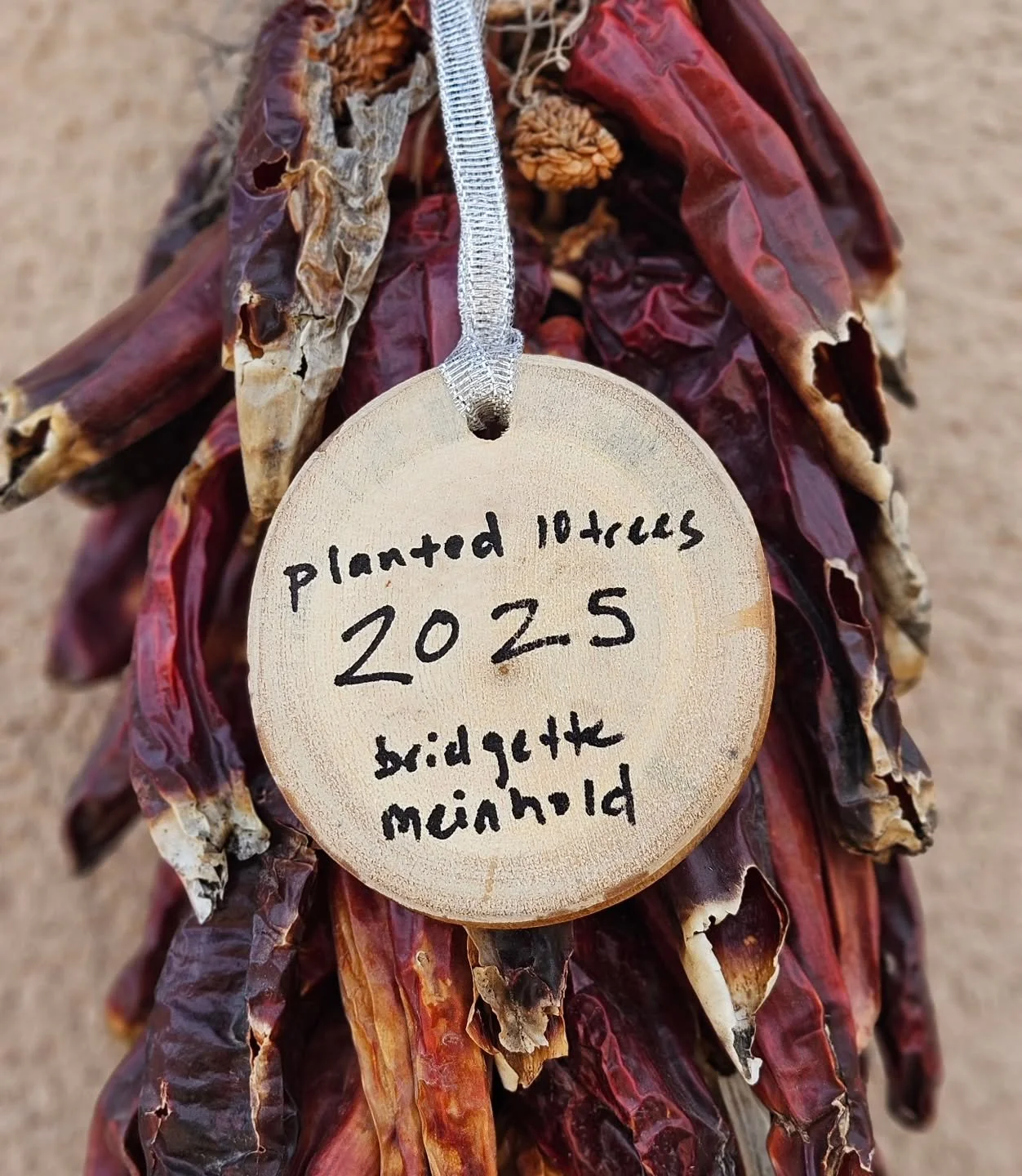 Thank you to everyone who bought an ornament yesterday. I just made my donation to @nationalforests and it will go to plant a small forest. I'm really proud of this multi-year project all with your help and support. 
Your ornaments (and calendars and