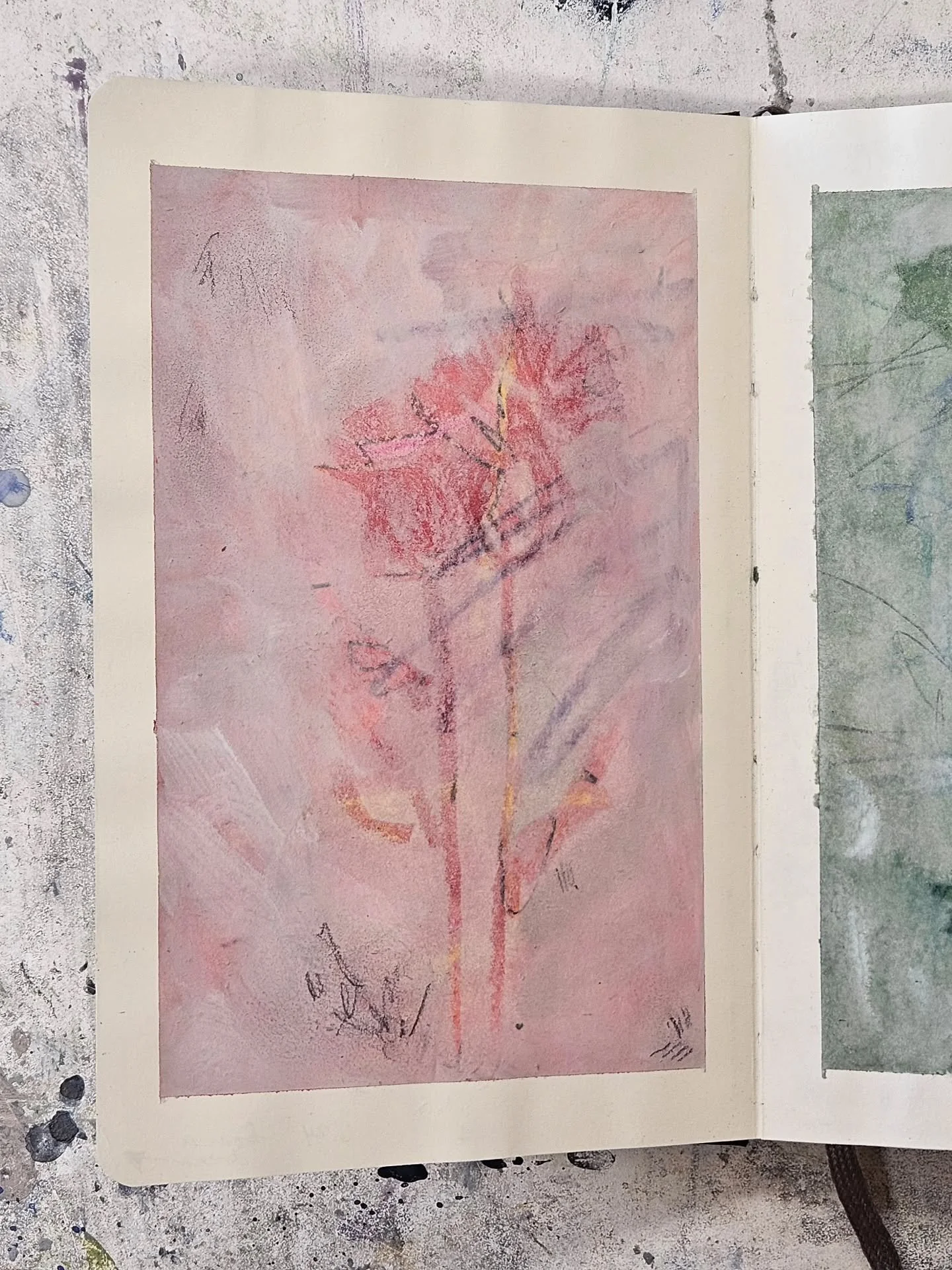 Good morning friends of the resistance. I am happy to see you here. I am happy to see you standing up and saying, "hell no" to the atrocities that this government is inflicting upon its own citizens. Please continue to be brave, call your r