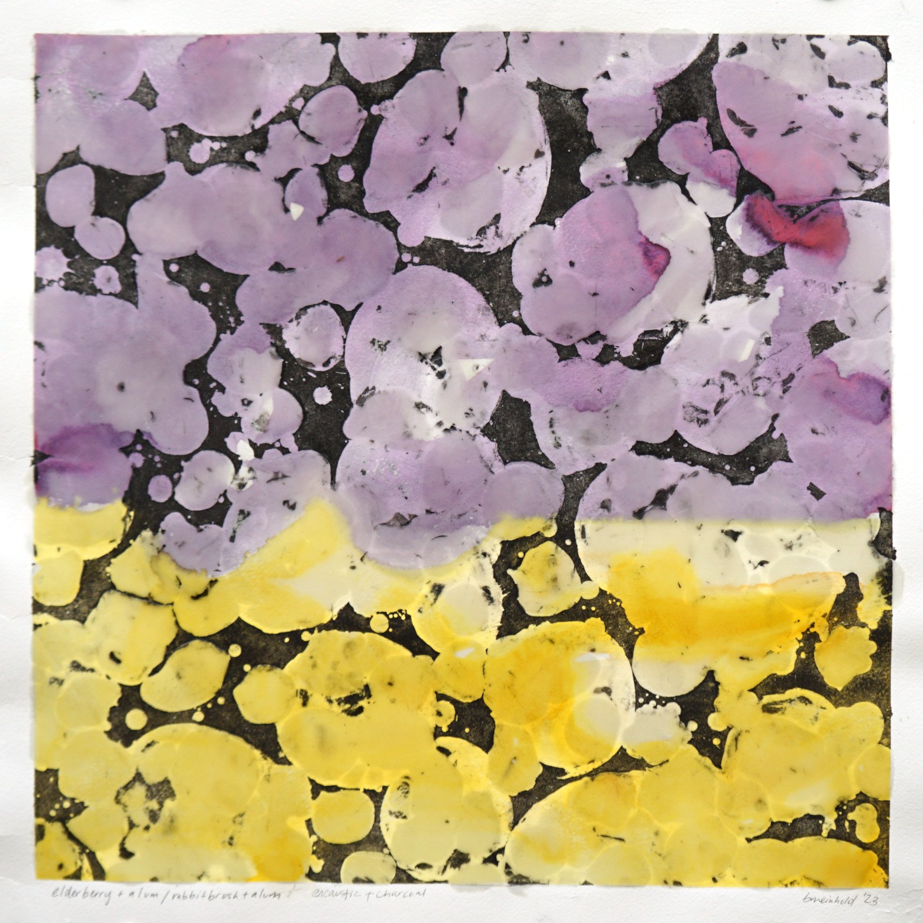 elderberry + alum / rabbitbrush + alum / encaustic + charcoal