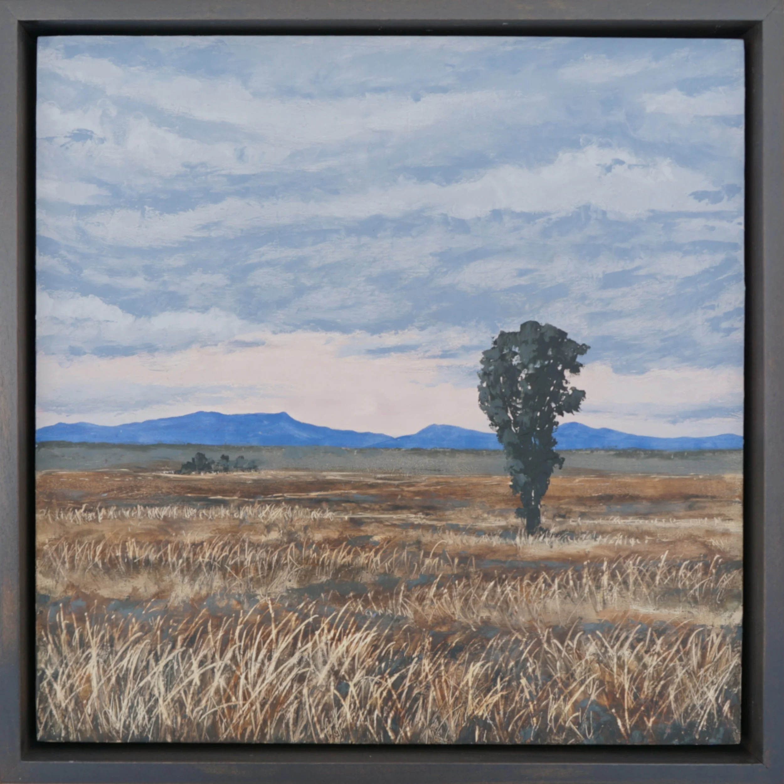 "Pure Attention Study" | 12x12 in