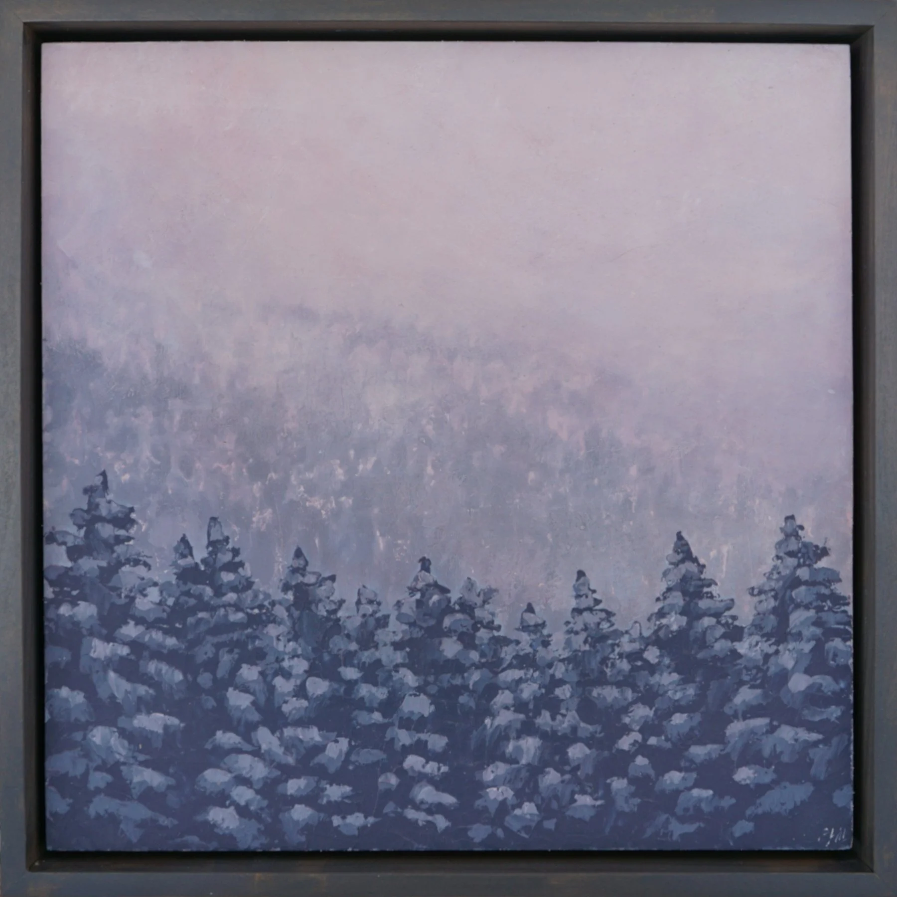 202601 pine meditation 1_12x12.JPG