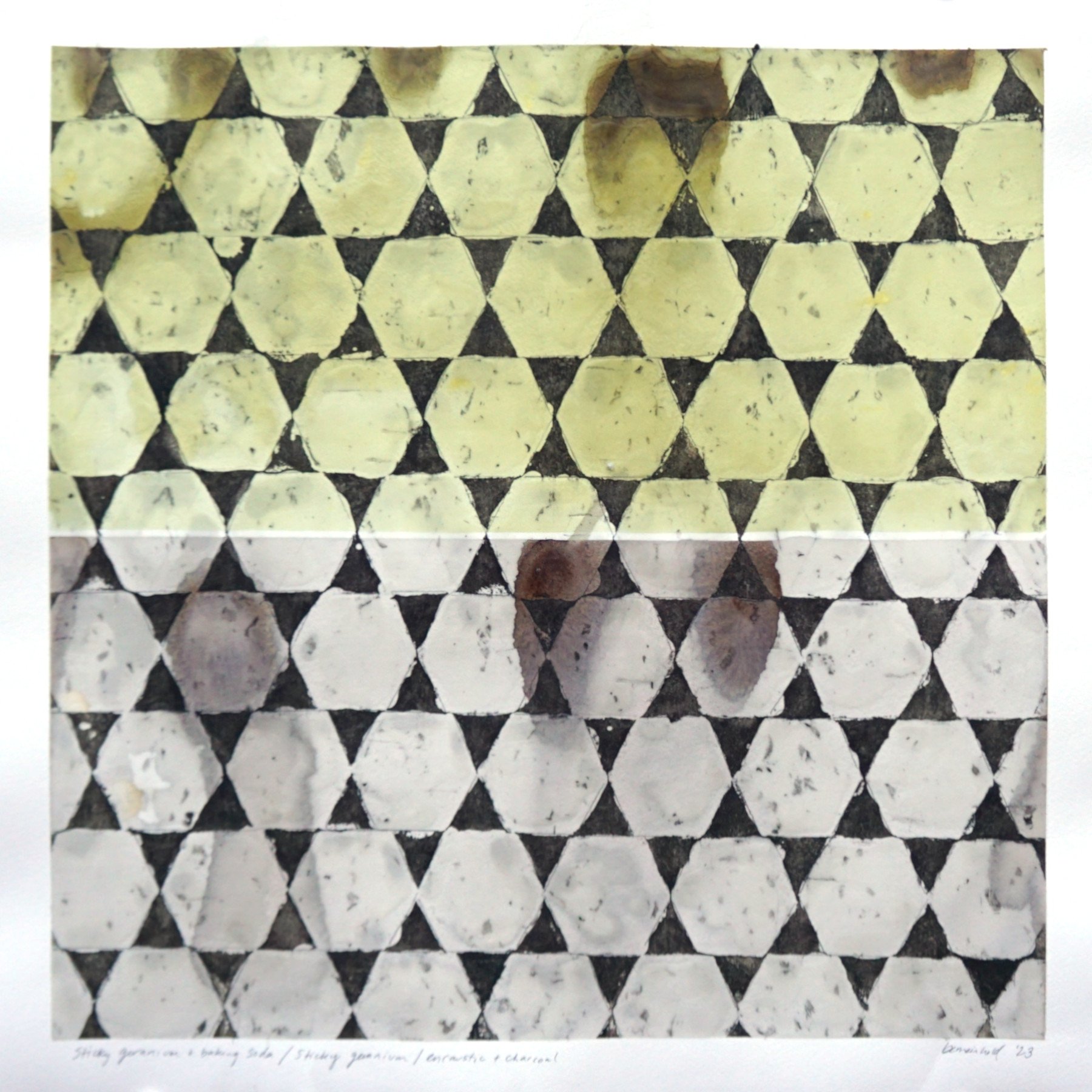 sticky geranium + baking soda / stick geranium / encaustic + charcoal