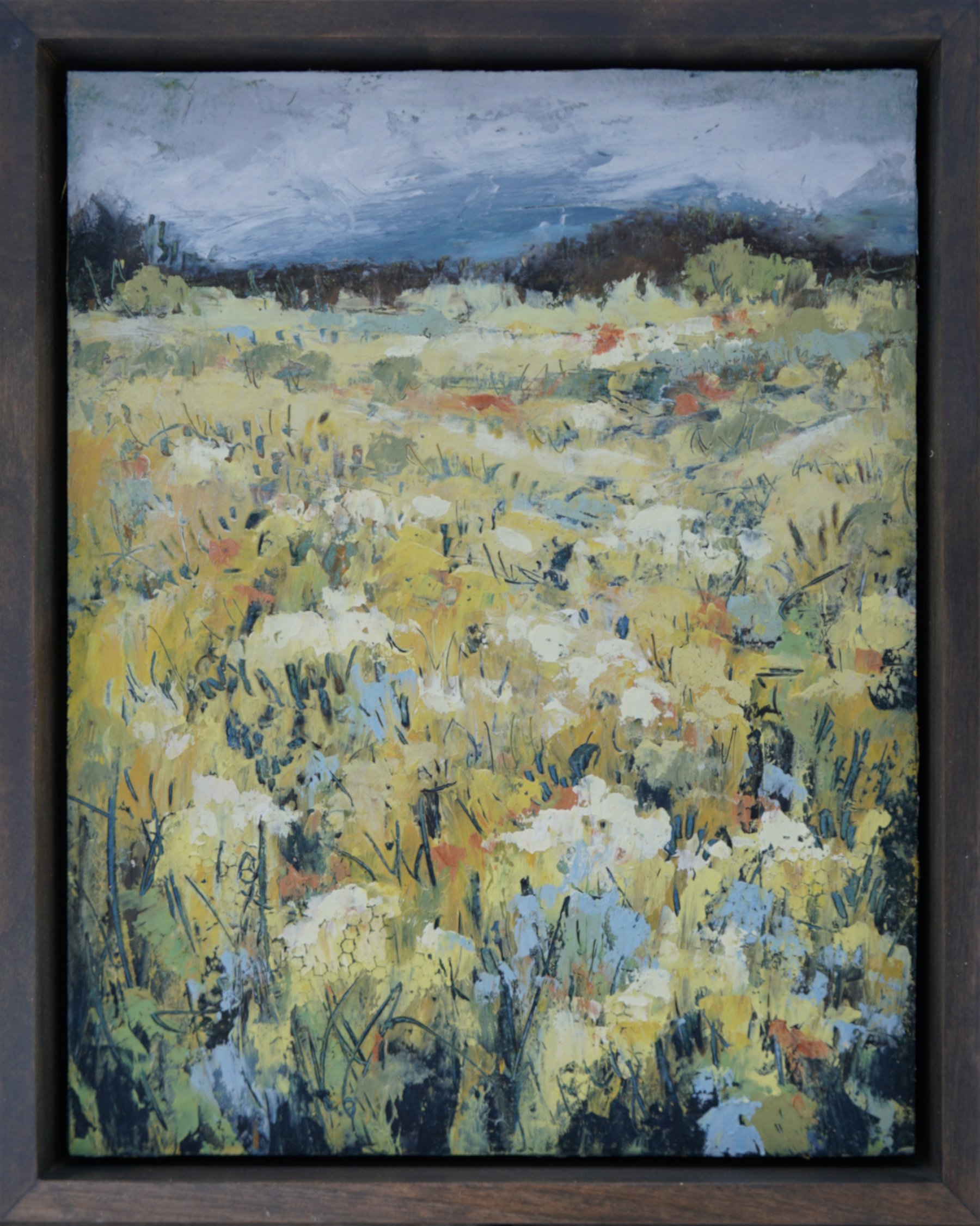 202601 yellow field 1_10x8.JPG