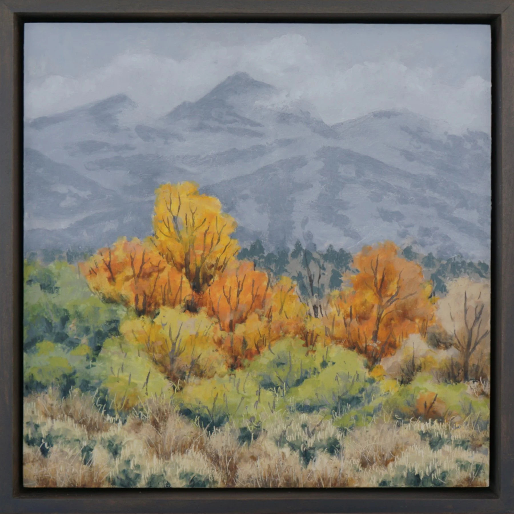 202512 some new delight study_12x12.JPG