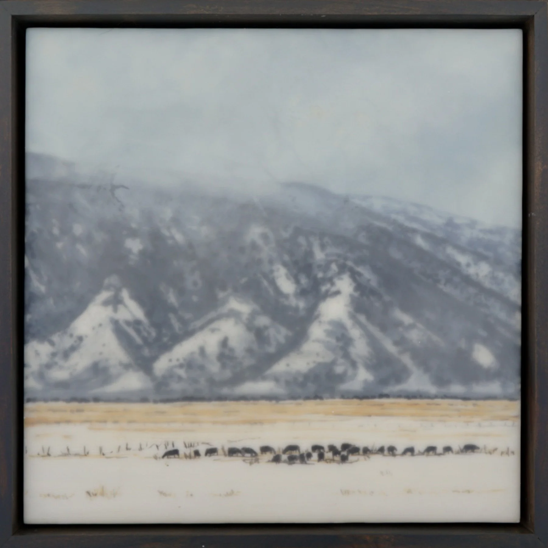 202512 life in widening circles study_12x12.JPG