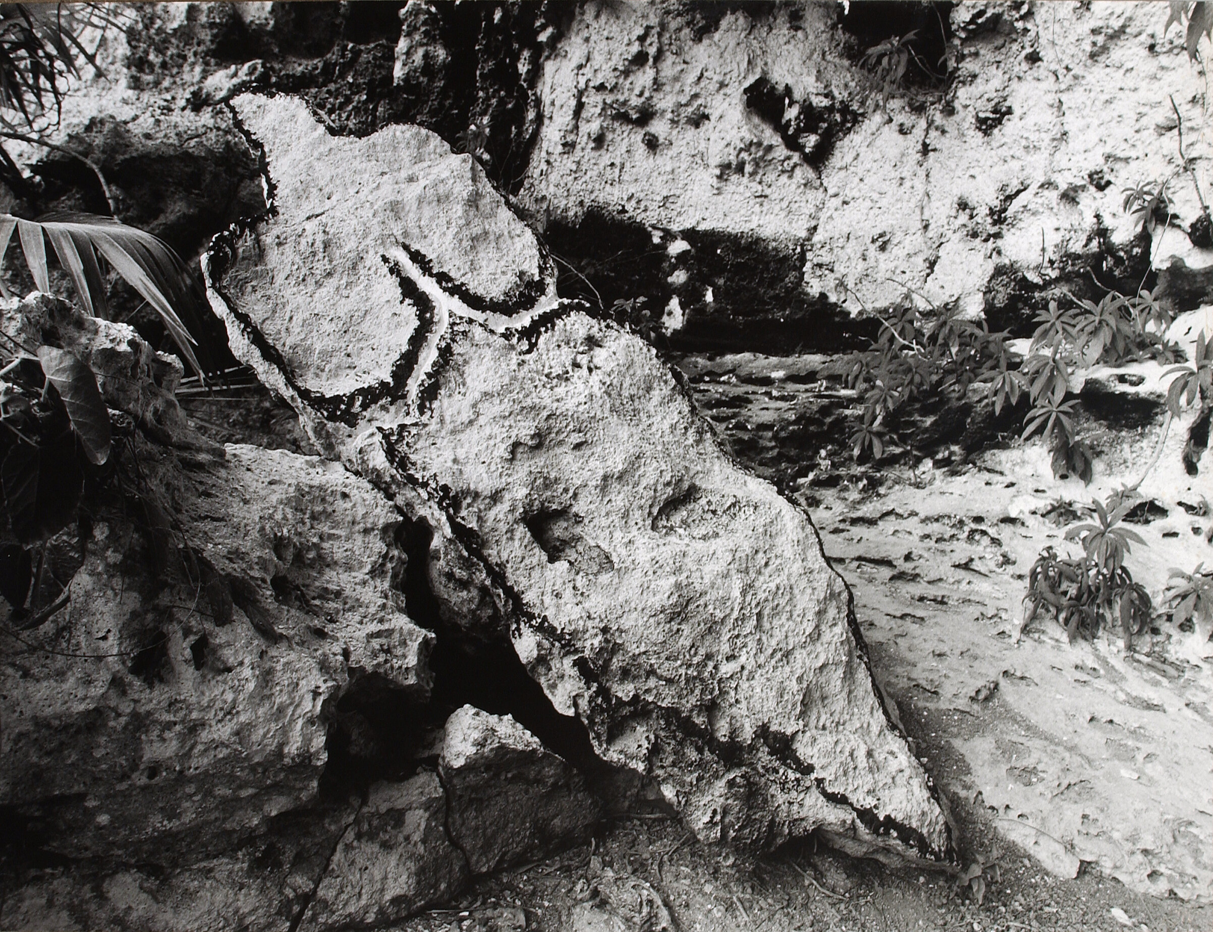 Bacayu (Esculturas Rupestres)&nbsp;[Light of Day (Rupestrian Sculptures)], 1981