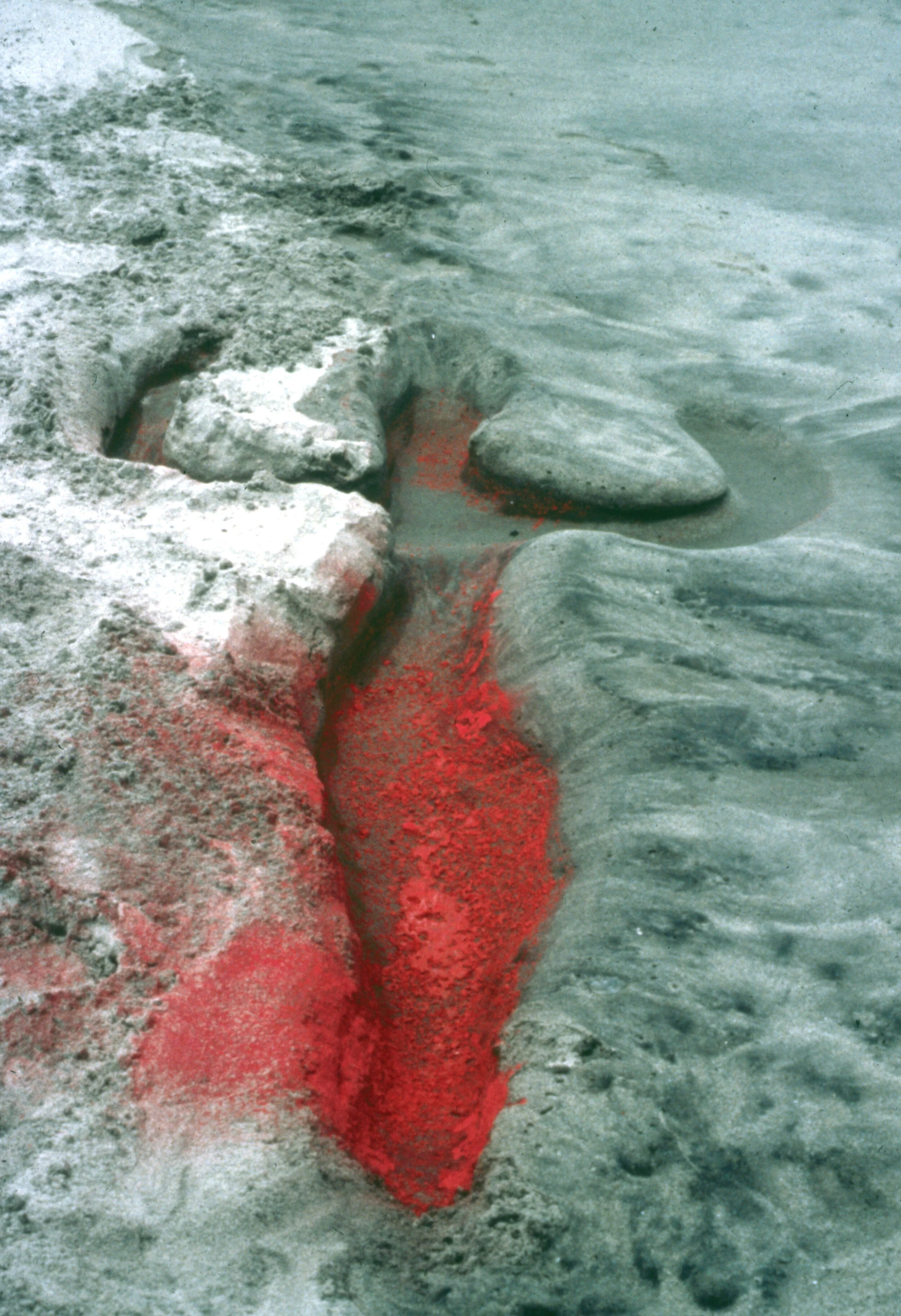 Untitled: Silueta series,&nbsp;1976