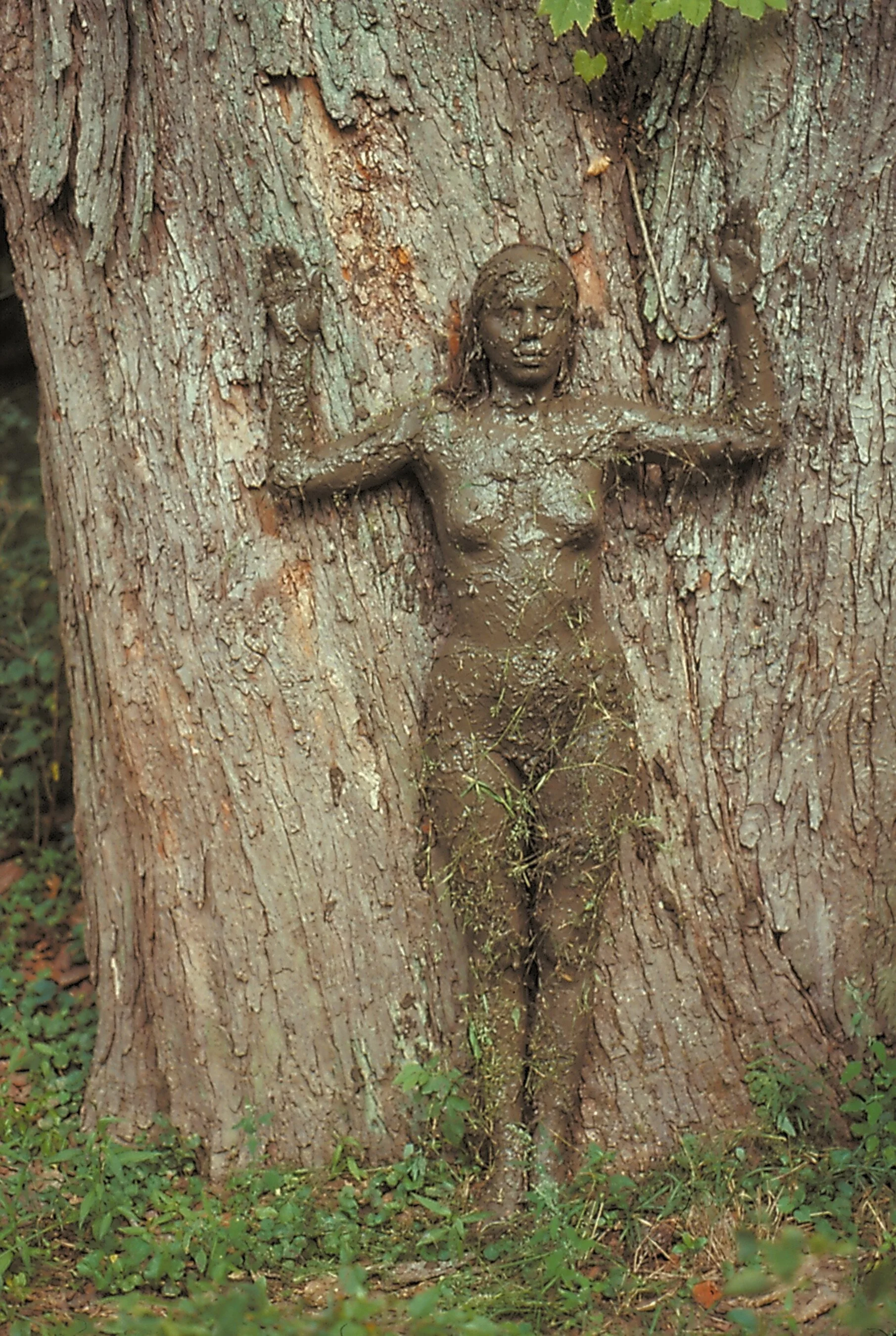 Árbol de la Vida&nbsp;[Tree of Life], 1976