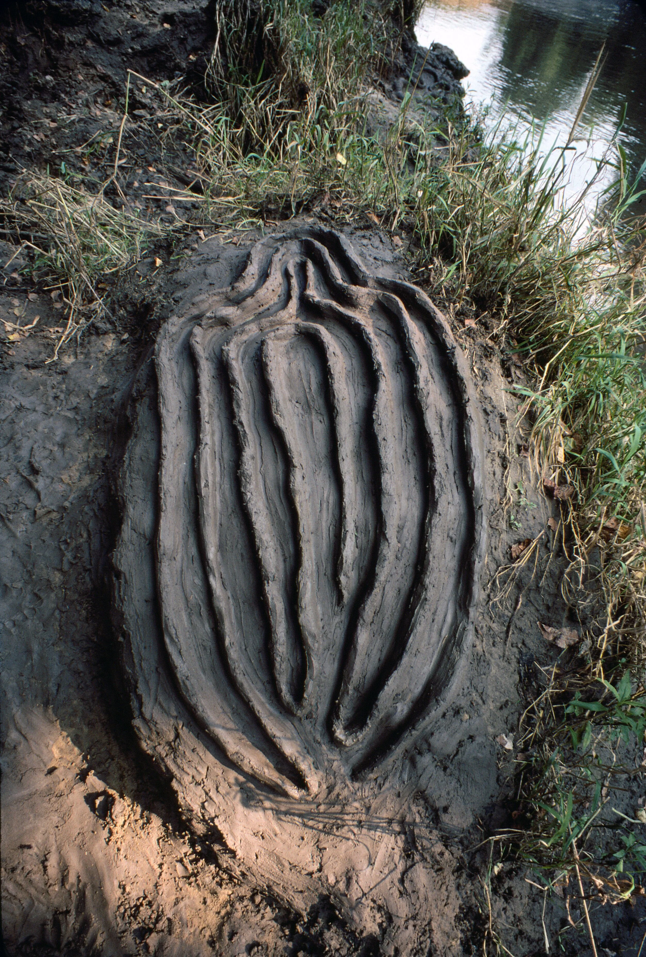 La Vivificación de la Carne: El Laberinto de Venus Series[The Vivification of the Flesh: Labyrinth of Venus Series], 1982