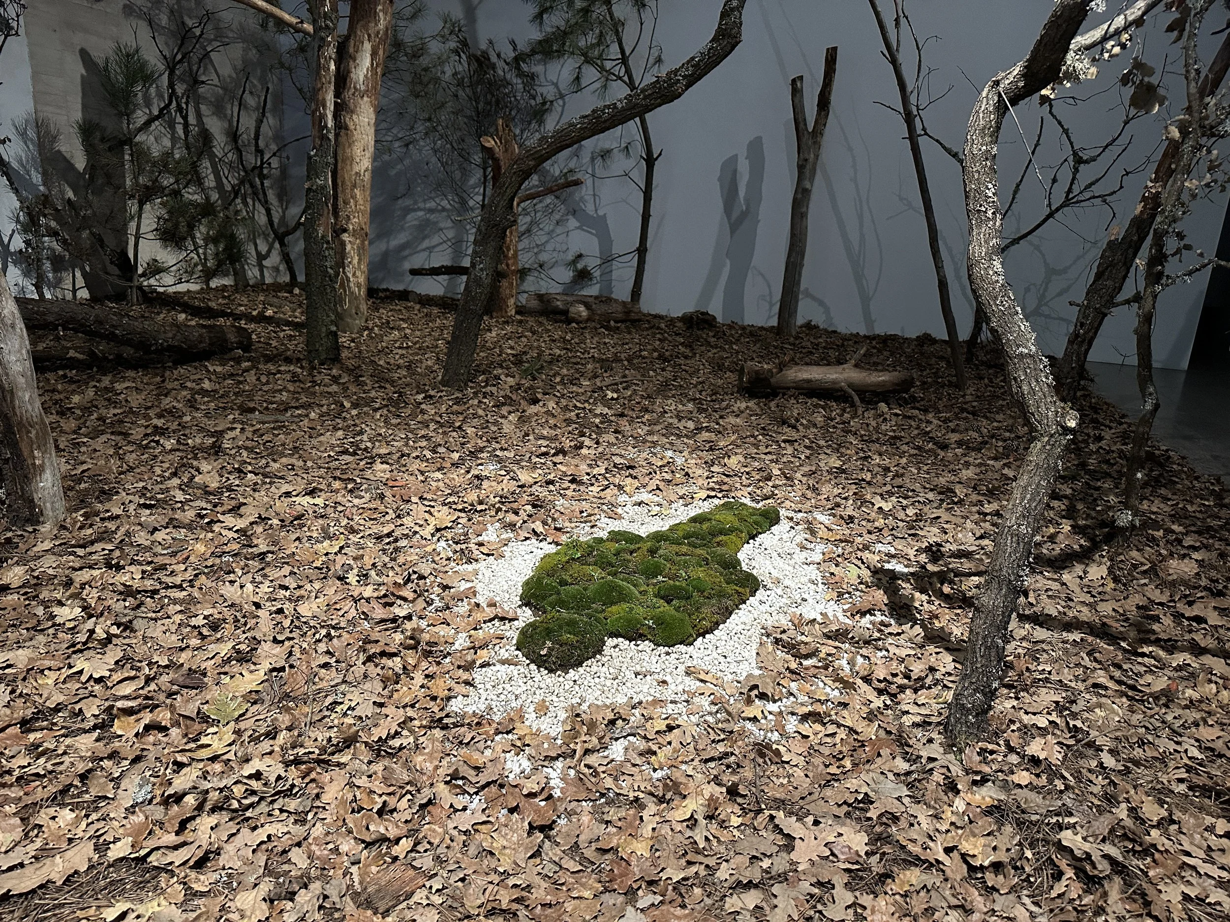 Exhibitions — ANA MENDIETA