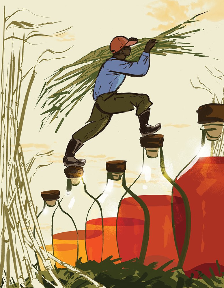  Imbibe Magazine - Sep/Oct 2021  Feature Illustration:  Get Real  — The bar world looks beyond feel- good measures on sustainability and climate change.   AD: Molly Henty 