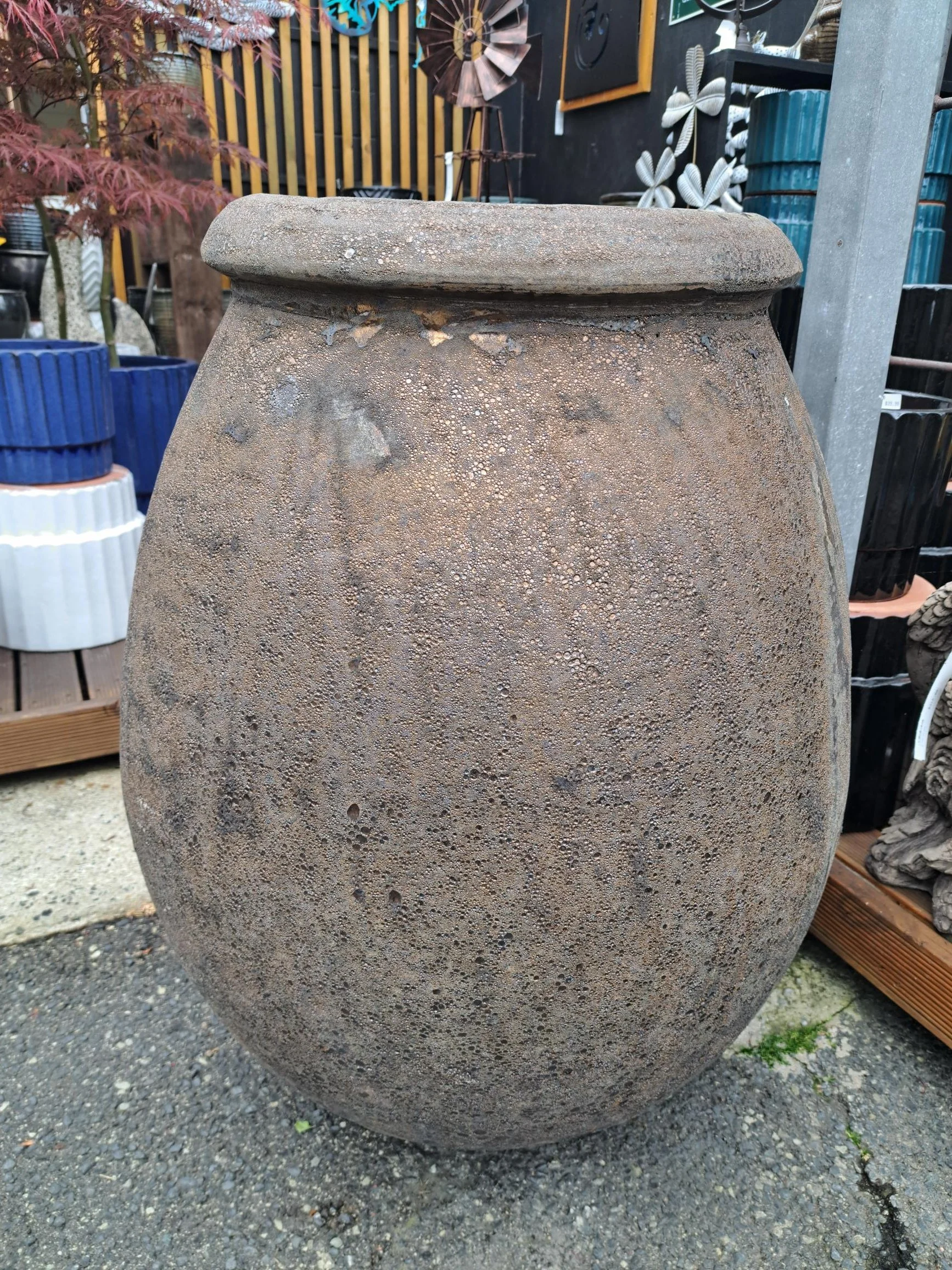 1000058401.jpg